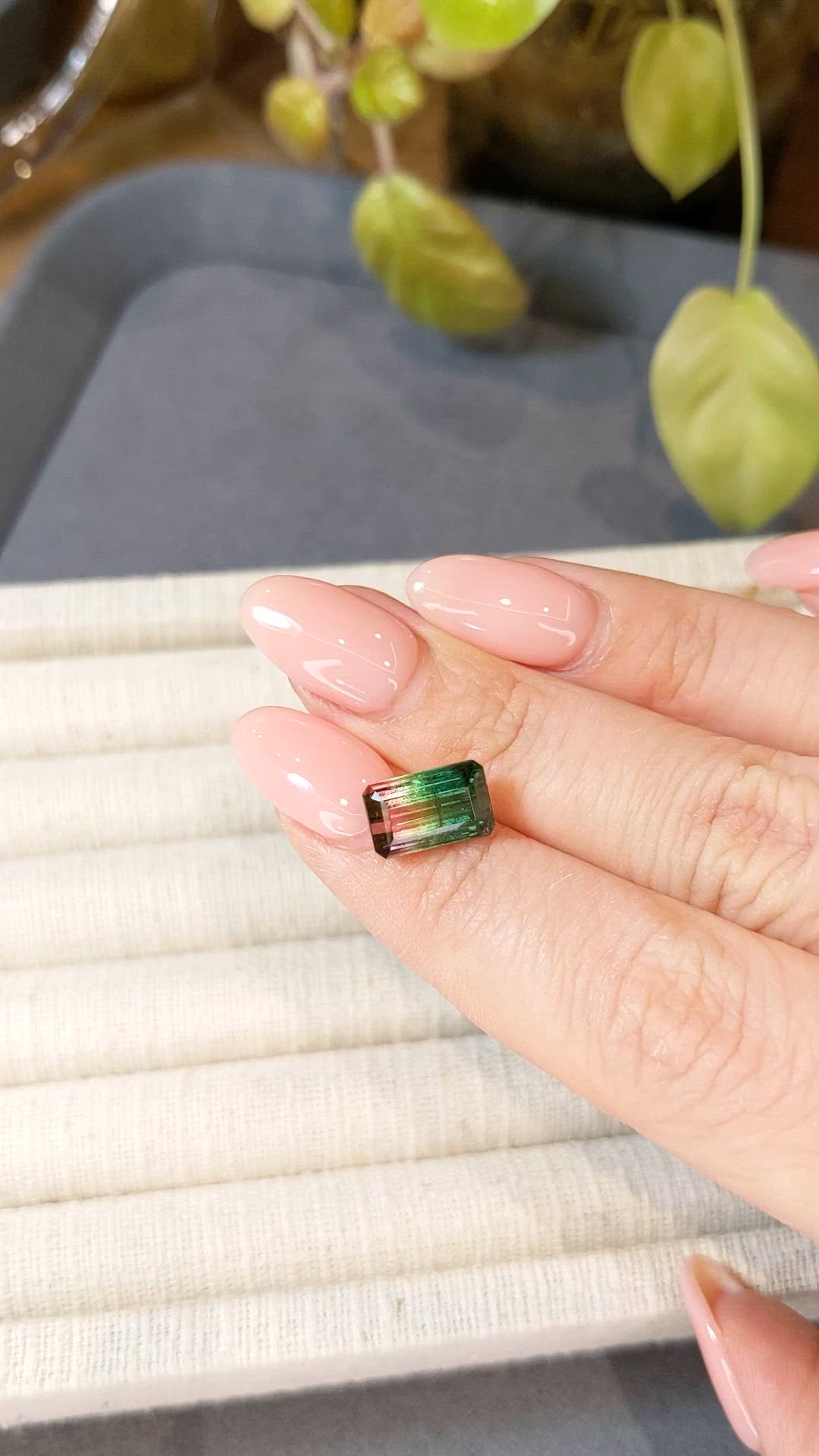 3.65 Ct. Watermelon Tourmaline from Mozambique Size Video