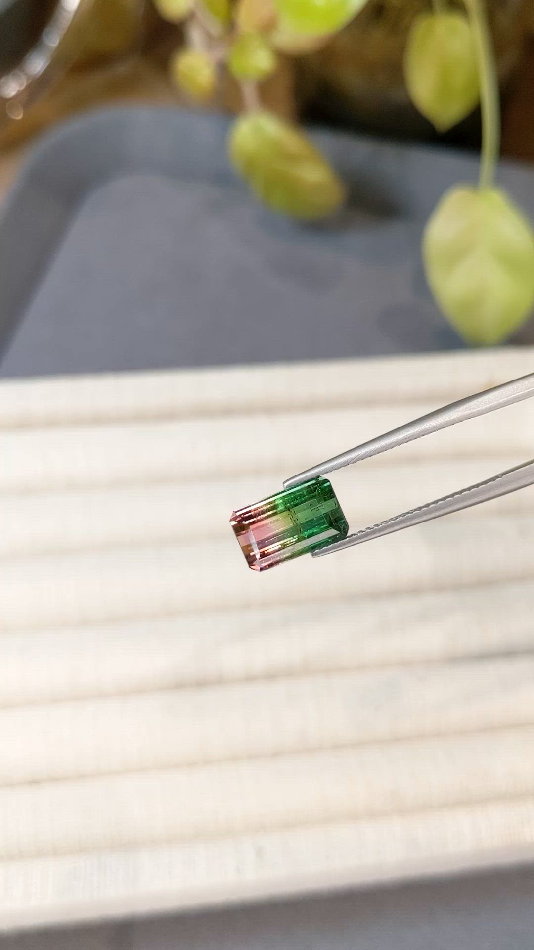 3.65 Ct. Watermelon Tourmaline from Mozambique Size Video