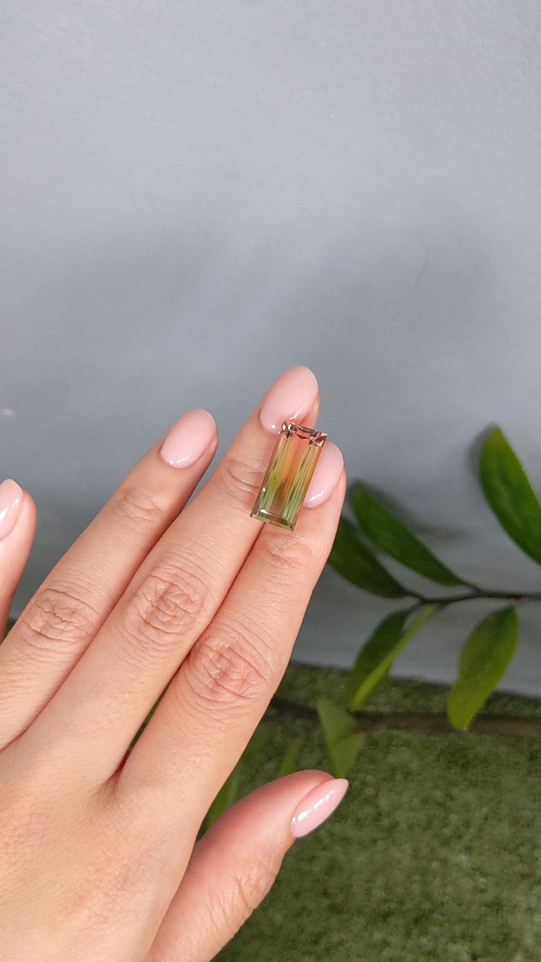 10.79 Ct. Watermelon Tourmaline from Mozambique Size Video