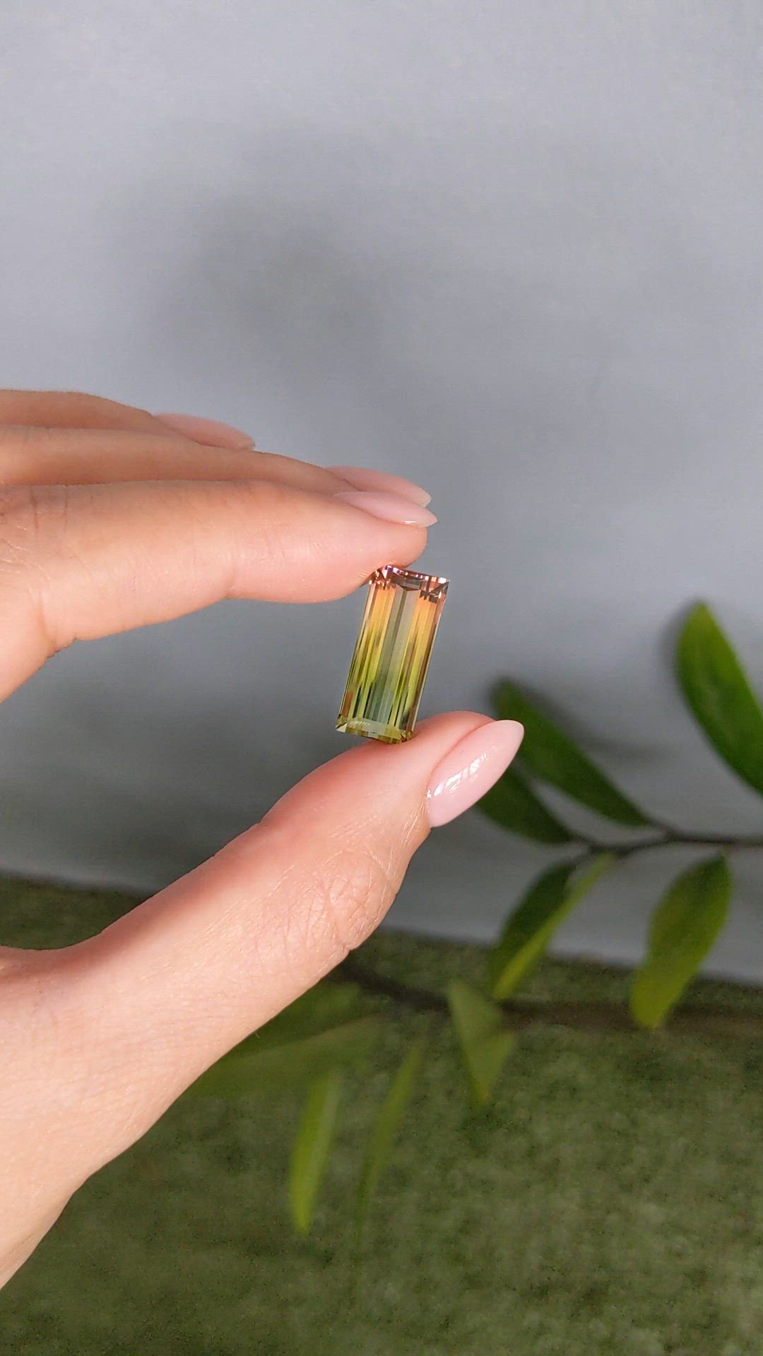 10.79 Ct. Watermelon Tourmaline from Mozambique Size Video