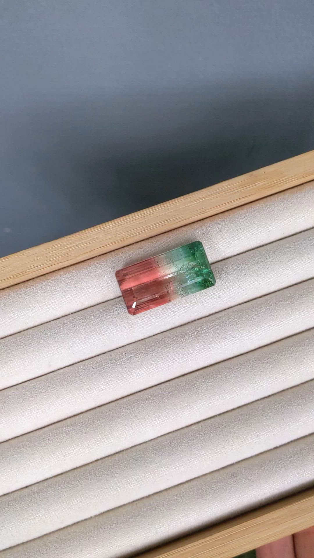 49.43 Ct. Watermelon Tourmaline from Mozambique Size Video