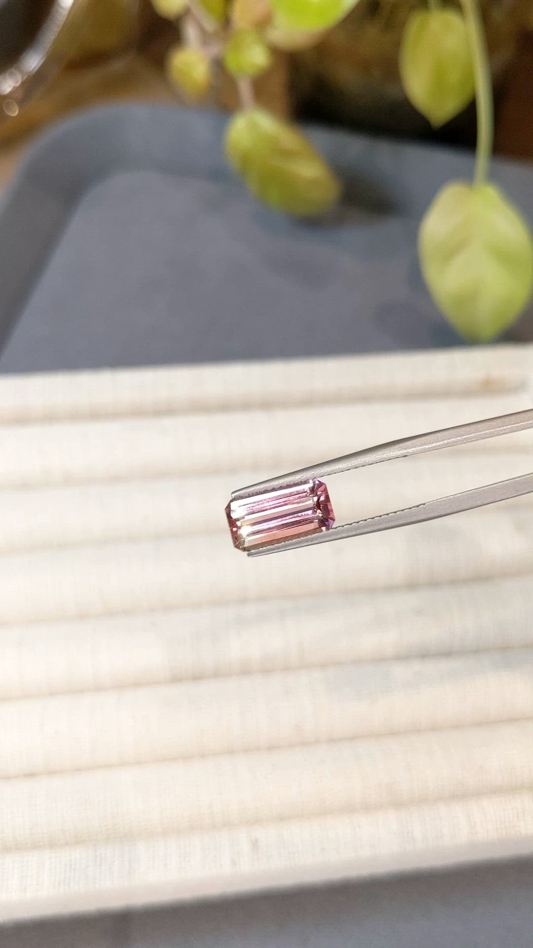 2.48 Ct. Bi Color Tourmaline from Mozambique Size Video