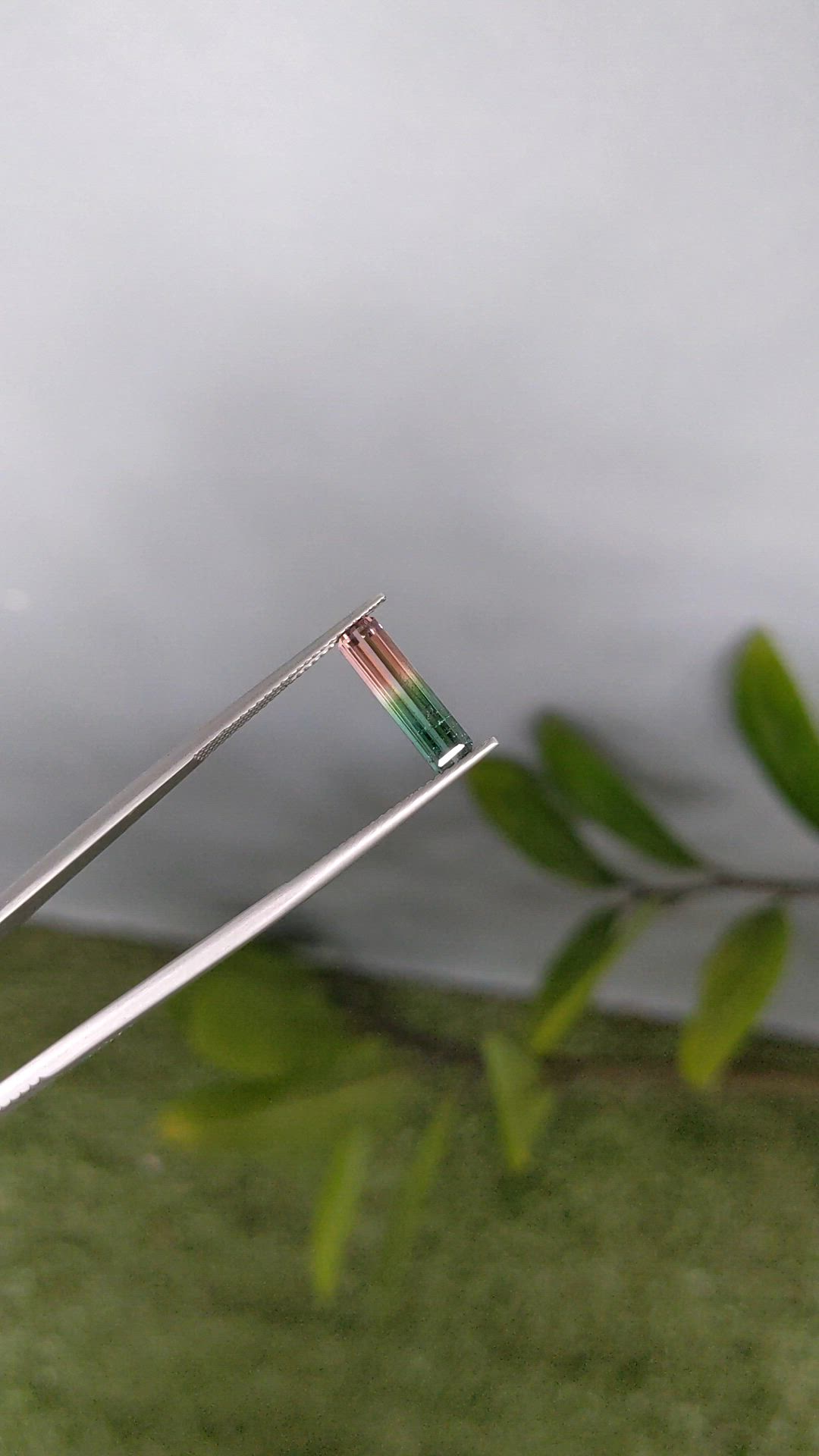 1.49 Ct. Watermelon Tourmaline from Mozambique Size Video