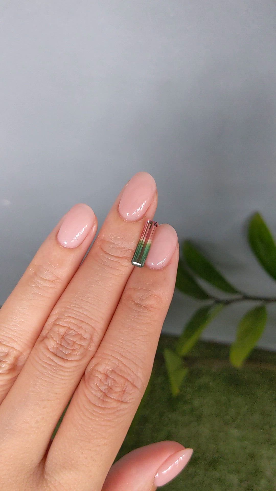 1.49 Ct. Watermelon Tourmaline from Mozambique Size Video