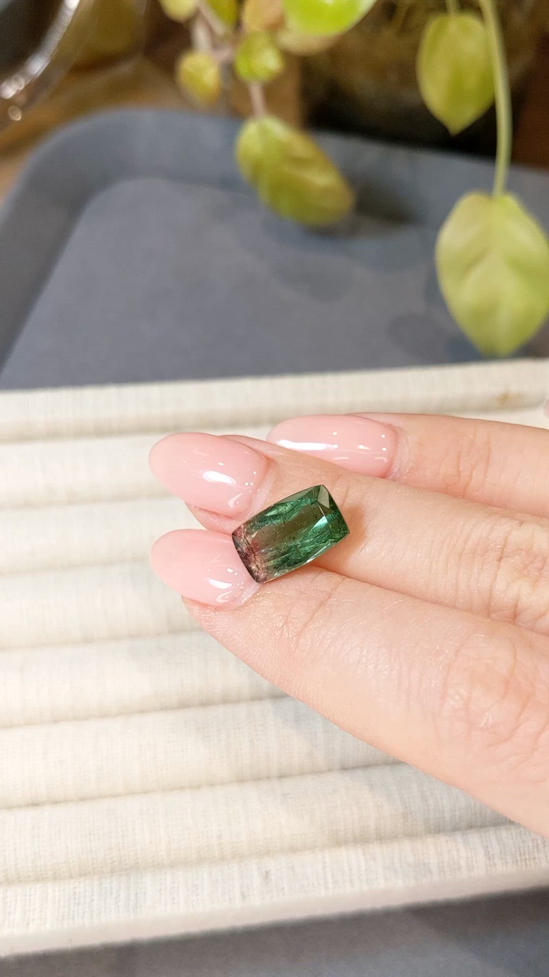 5.13 Ct. Bi Color Tourmaline from Mozambique Size Video