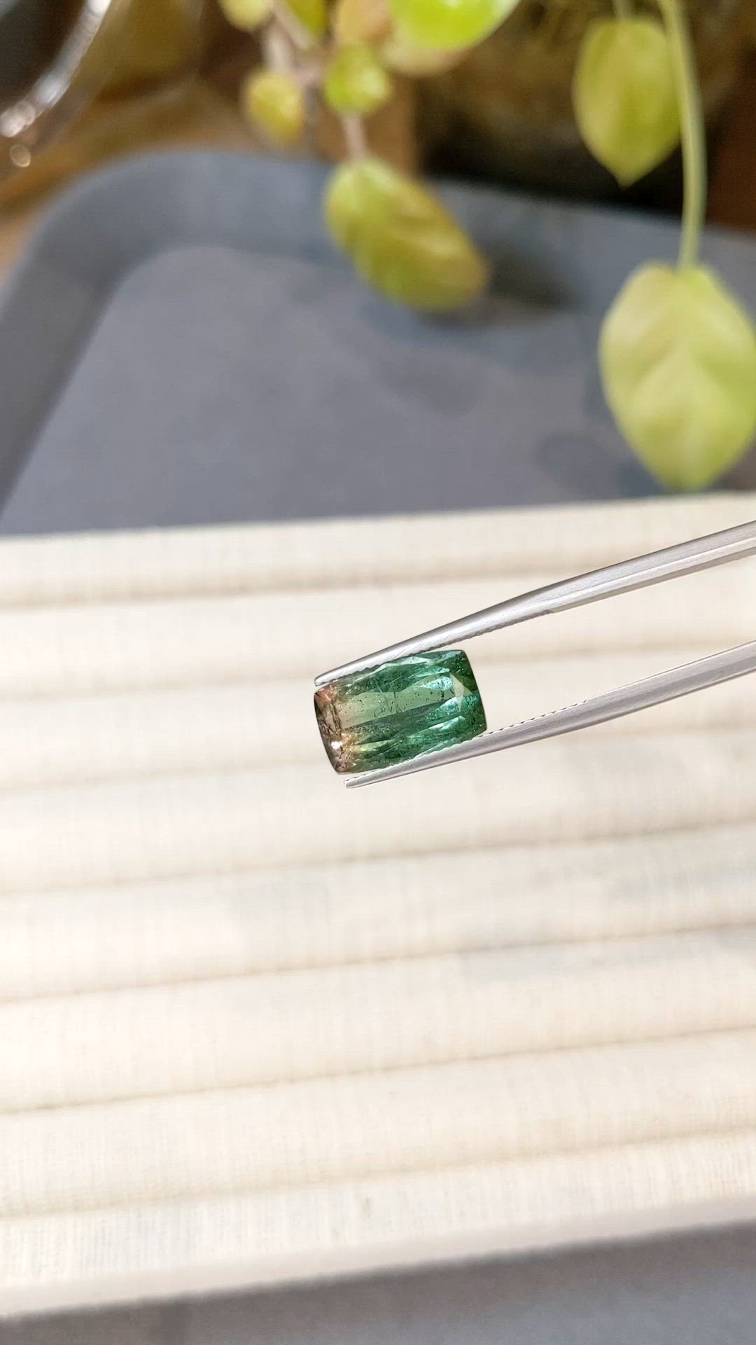 5.13 Ct. Bi Color Tourmaline from Mozambique Size Video
