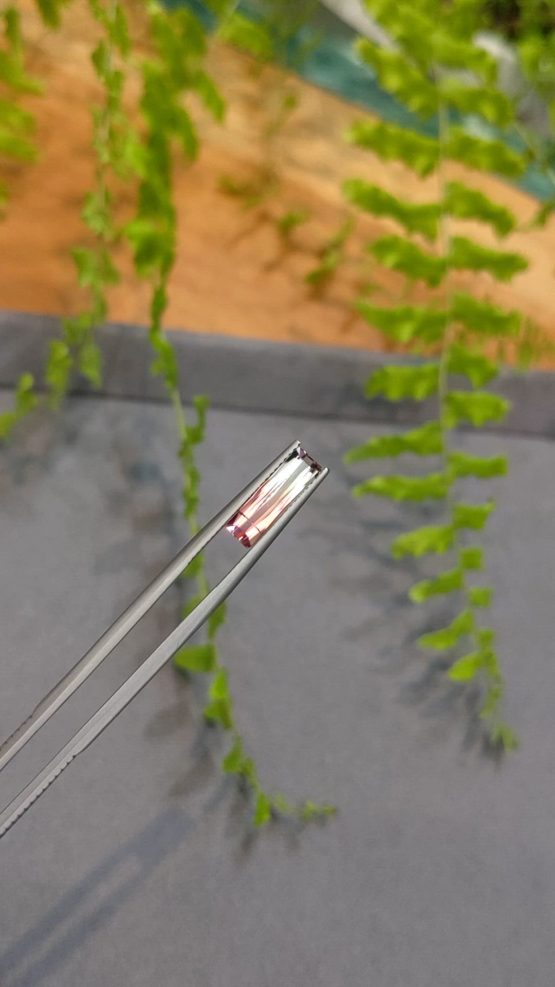 1.70 Ct. Bi Color Tourmaline from Mozambique Size Video