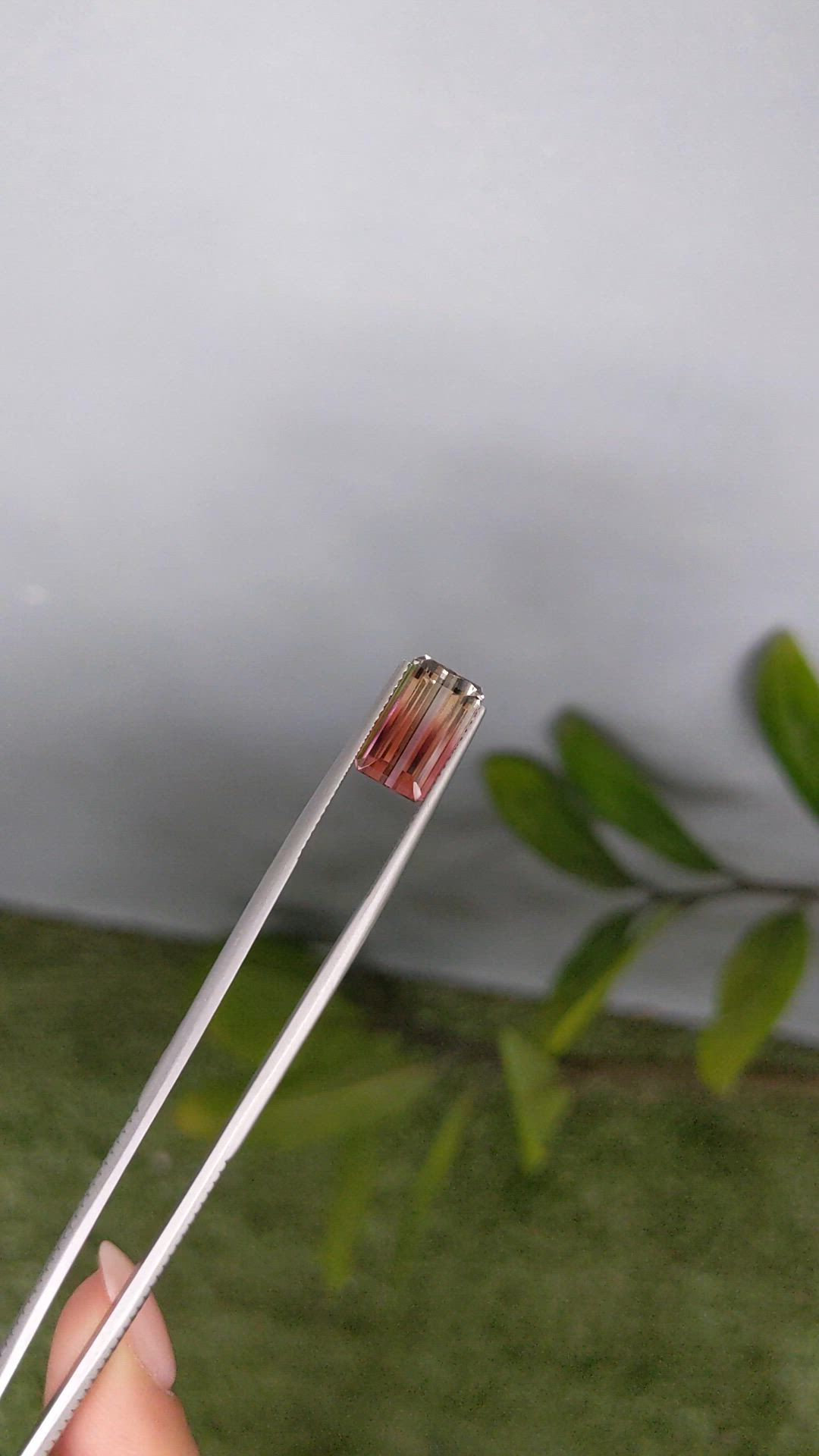 4.35 Ct. Bi Color Tourmaline from Mozambique Size Video