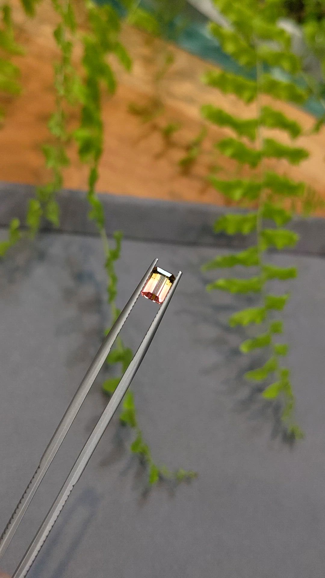 1.05 Ct. Bi Color Tourmaline from Mozambique Size Video