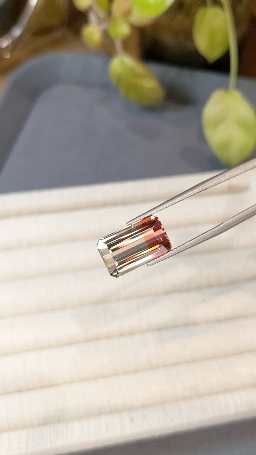 8.38 Ct. Bi Color Tourmaline from Mozambique Size Video