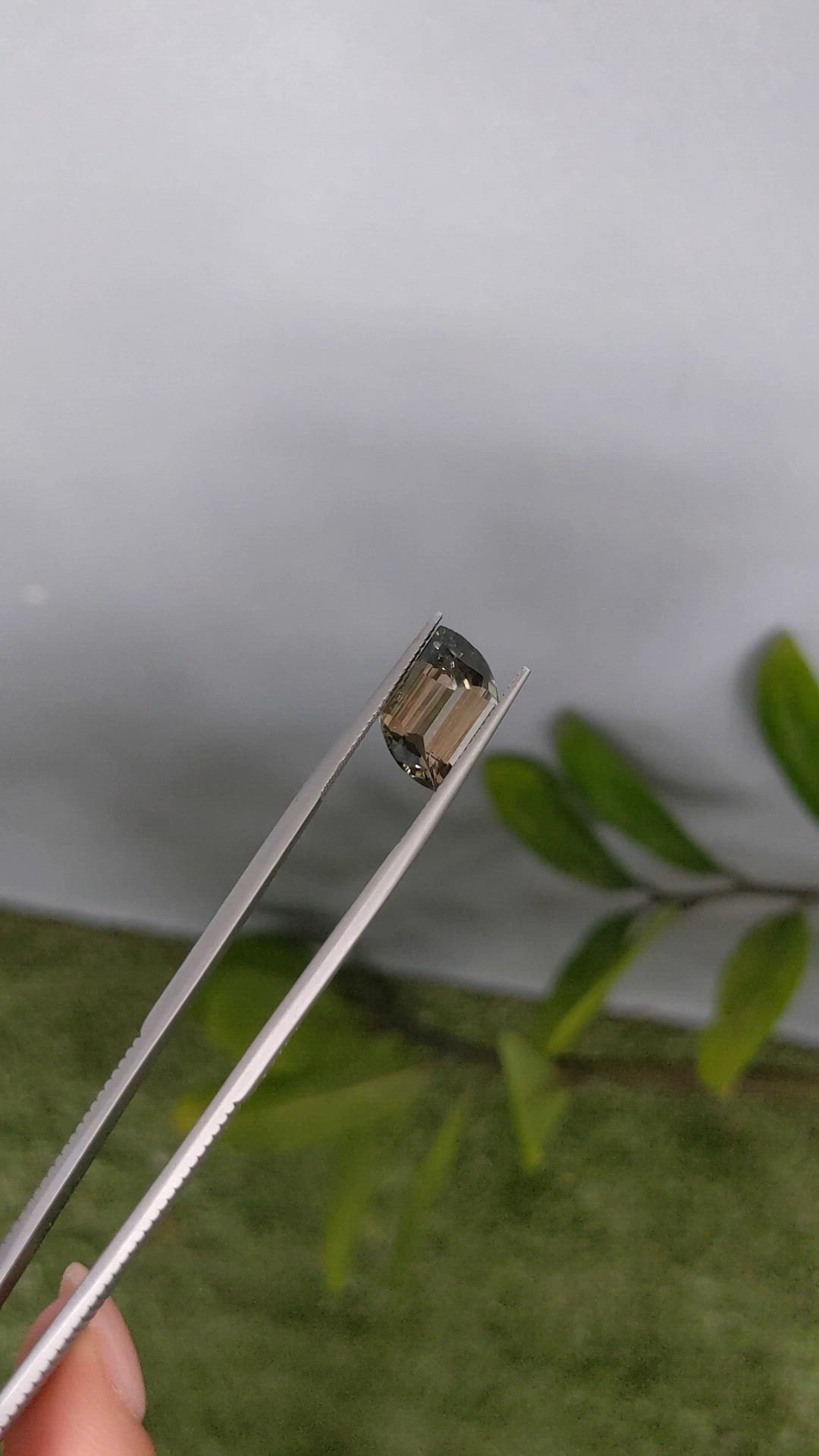 5.04 Ct. Bi Color Tourmaline from Mozambique Size Video