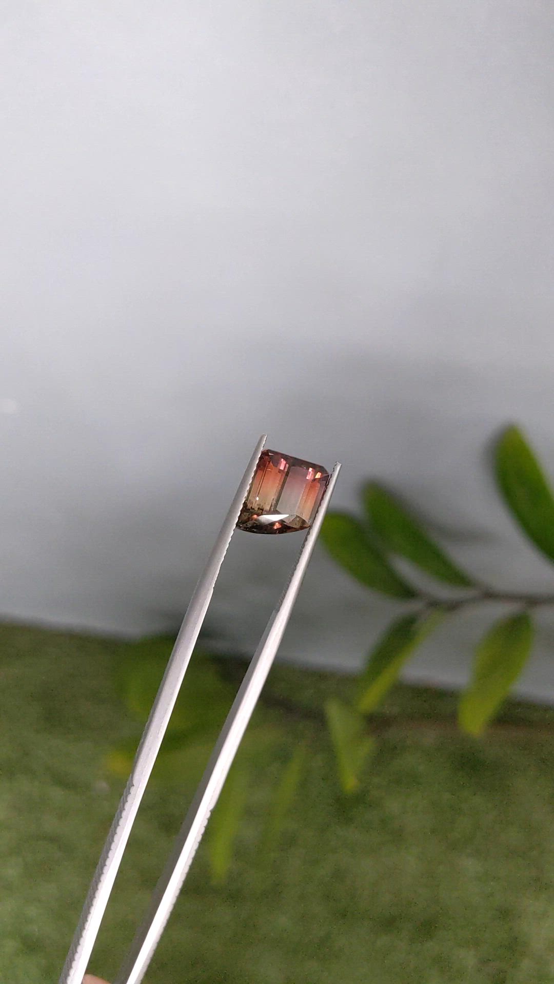 5.17 Ct. Bi Color Tourmaline from Mozambique Size Video