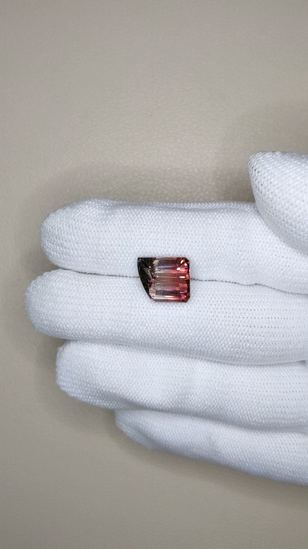 5.17 Ct. Bi Color Tourmaline from Mozambique Size Video
