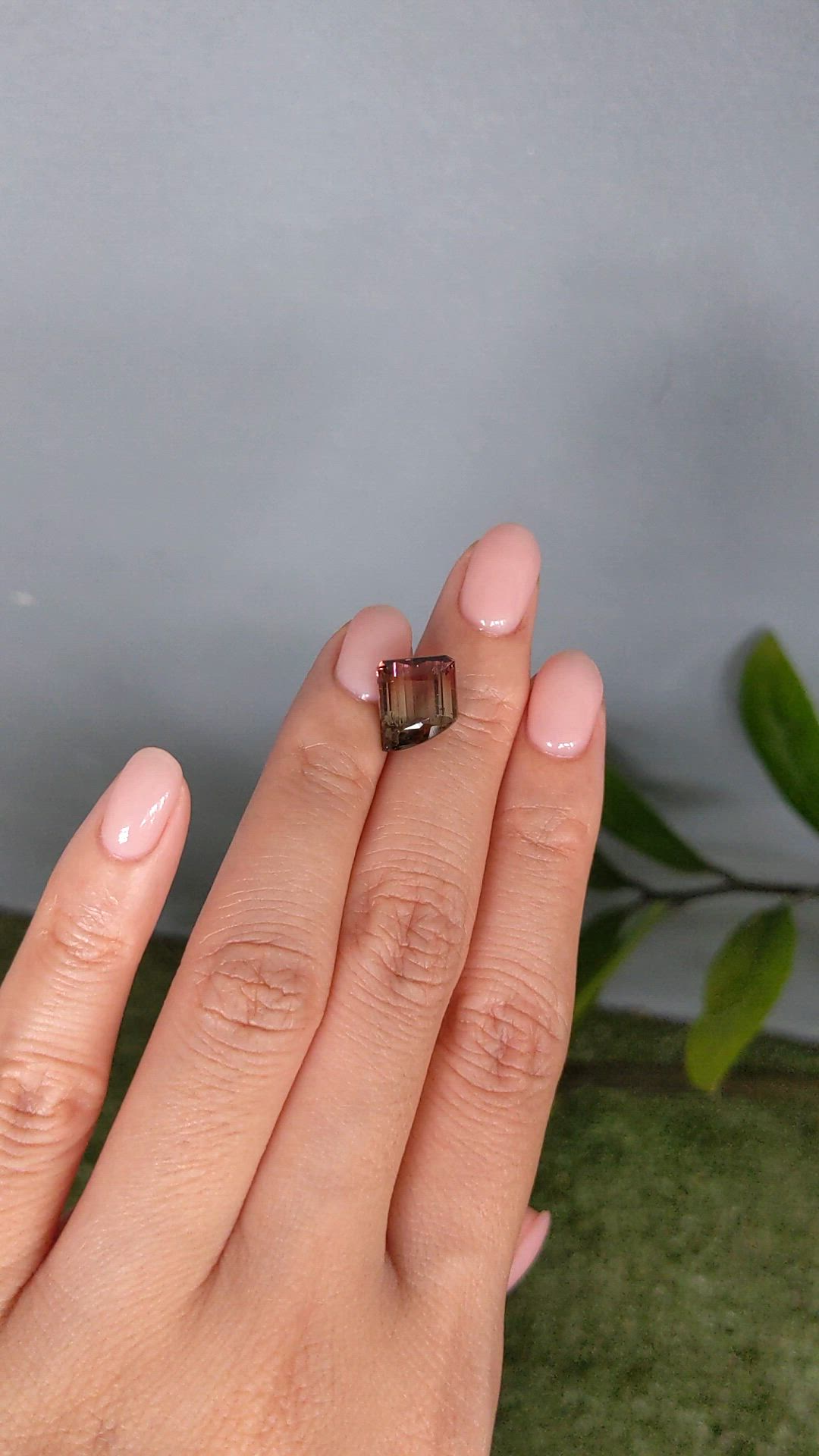 5.17 Ct. Bi Color Tourmaline from Mozambique Size Video
