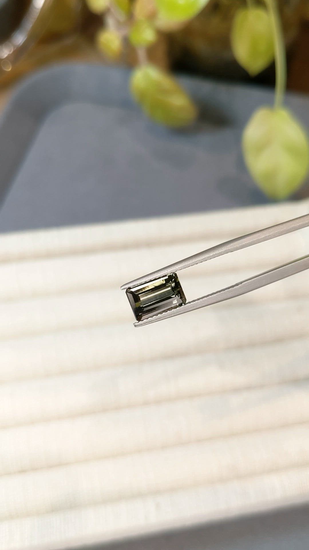 2.32 Ct. Bi Color Tourmaline from Mozambique Size Video