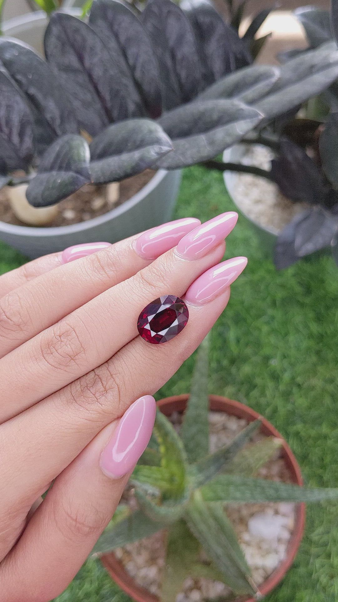 8.30 Ct. Purplish Red Garnet from Tanzania Size Video