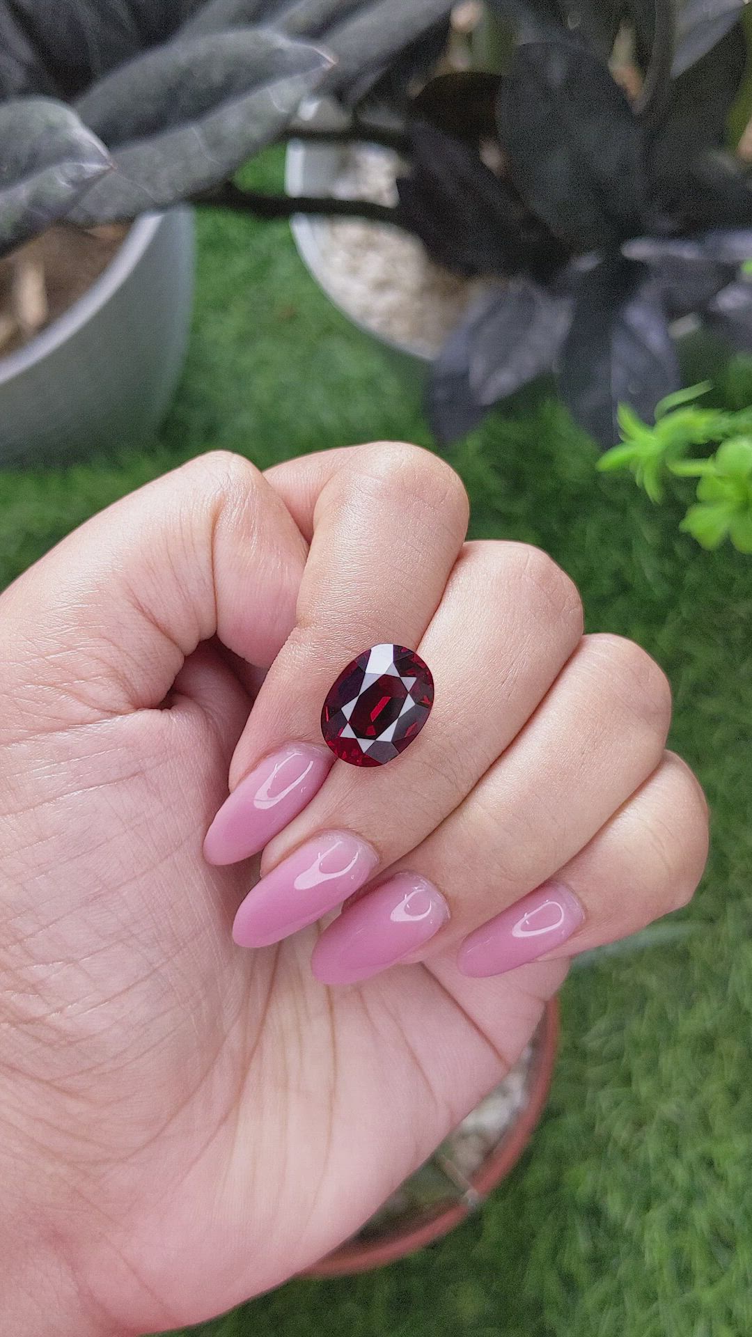 8.30 Ct. Purplish Red Garnet from Tanzania Size Video
