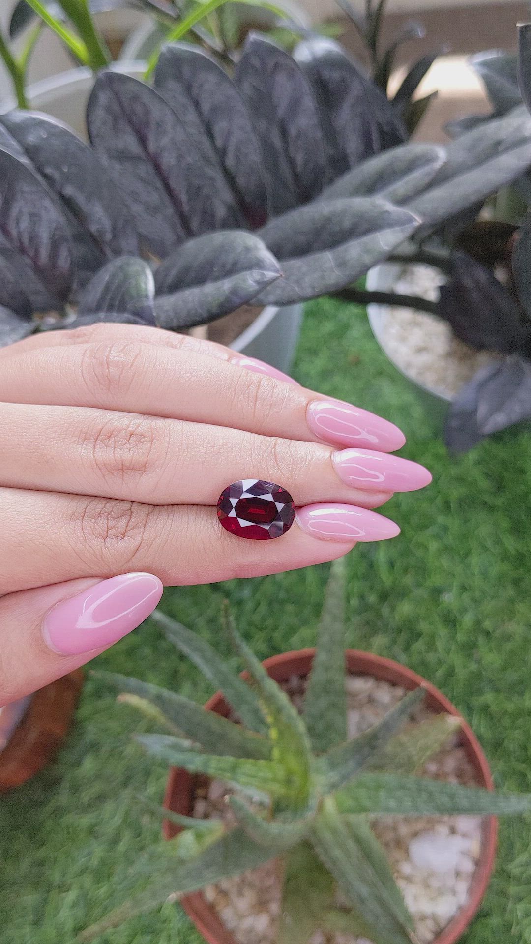 8.30 Ct. Purplish Red Garnet from Tanzania Size Video