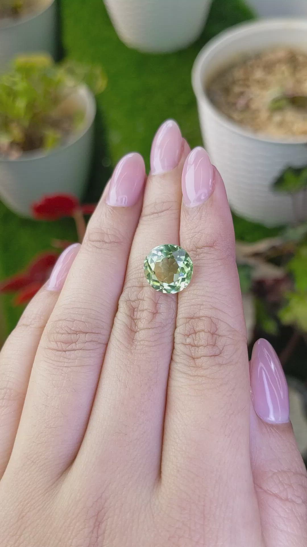 5.62 Ct. Green Prasiolite from Brazil Size Video