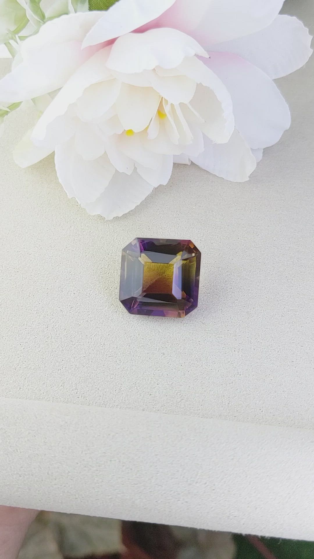 22.68 Ct. Bi Color Ametrine from Brazil Size Video