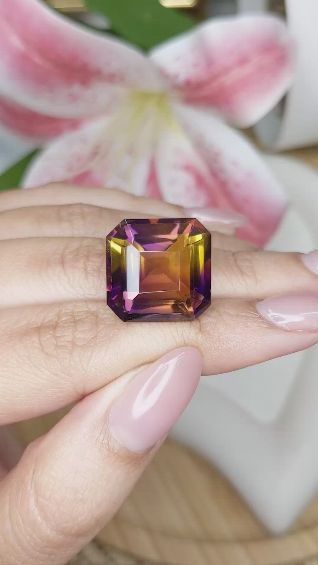 22.68 Ct. Bi Color Ametrine from Brazil Size Video