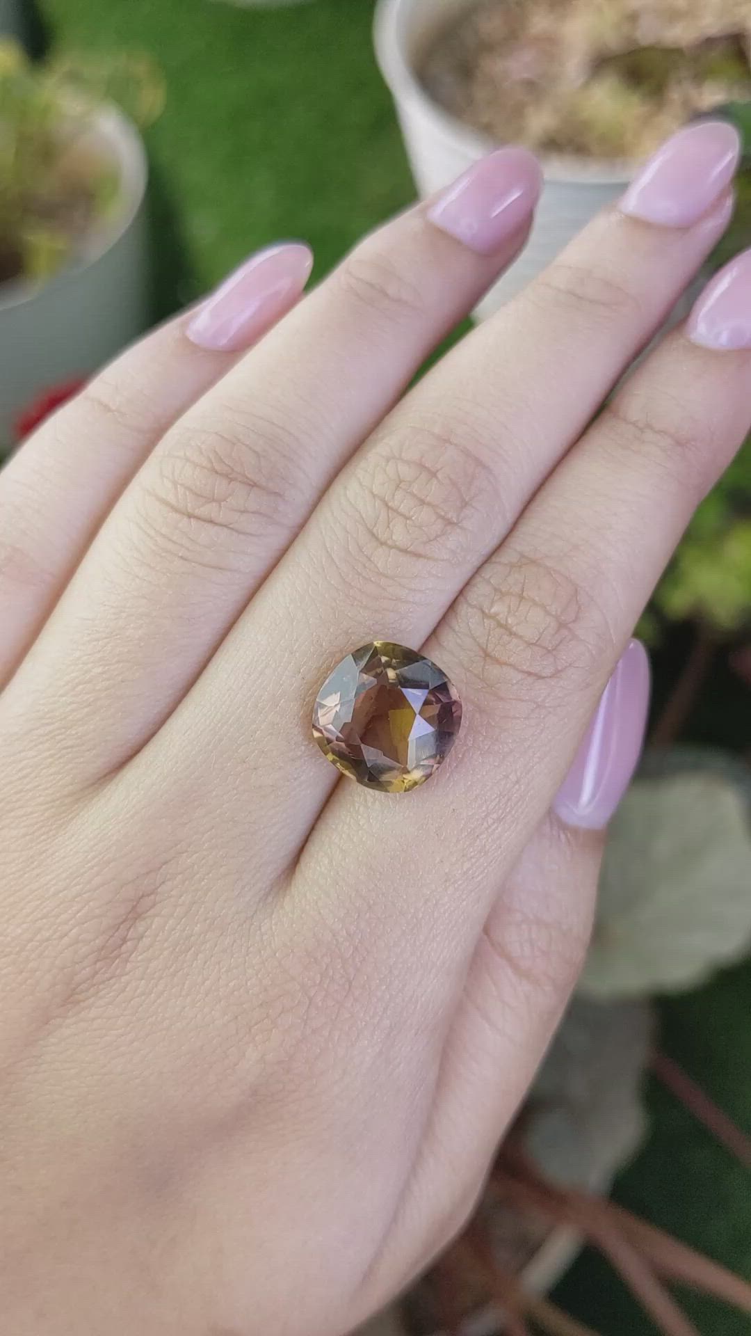 7.02 Ct. Bi Color Ametrine from Brazil Size Video