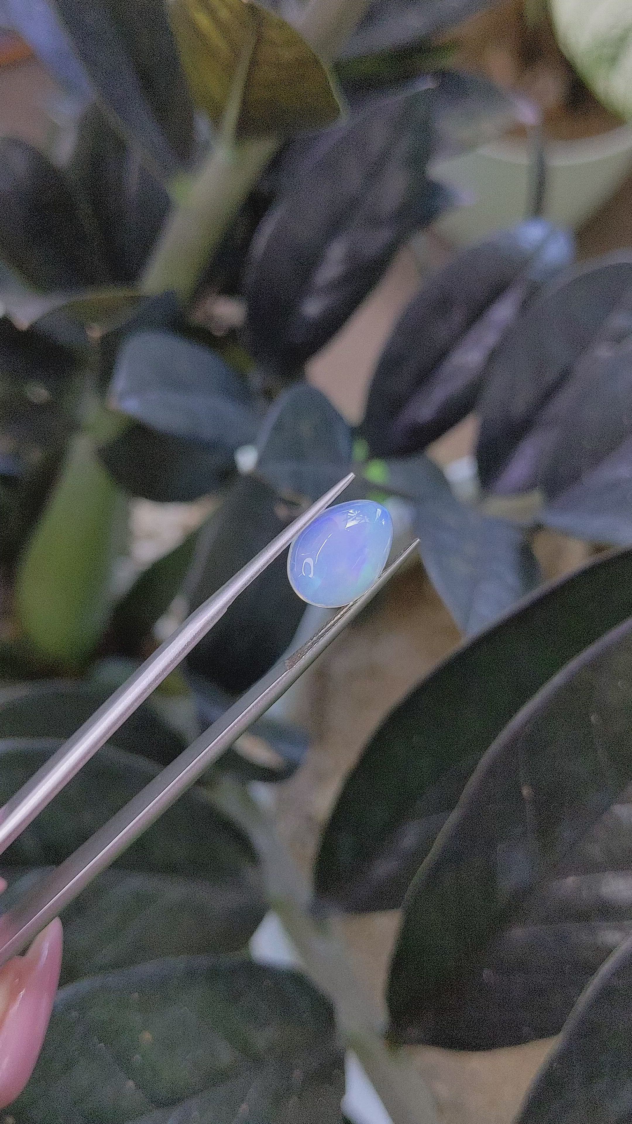 2.70 Ct. Multi Color Cabochon White Opal (Light Opal) from Ethiopia Size Video
