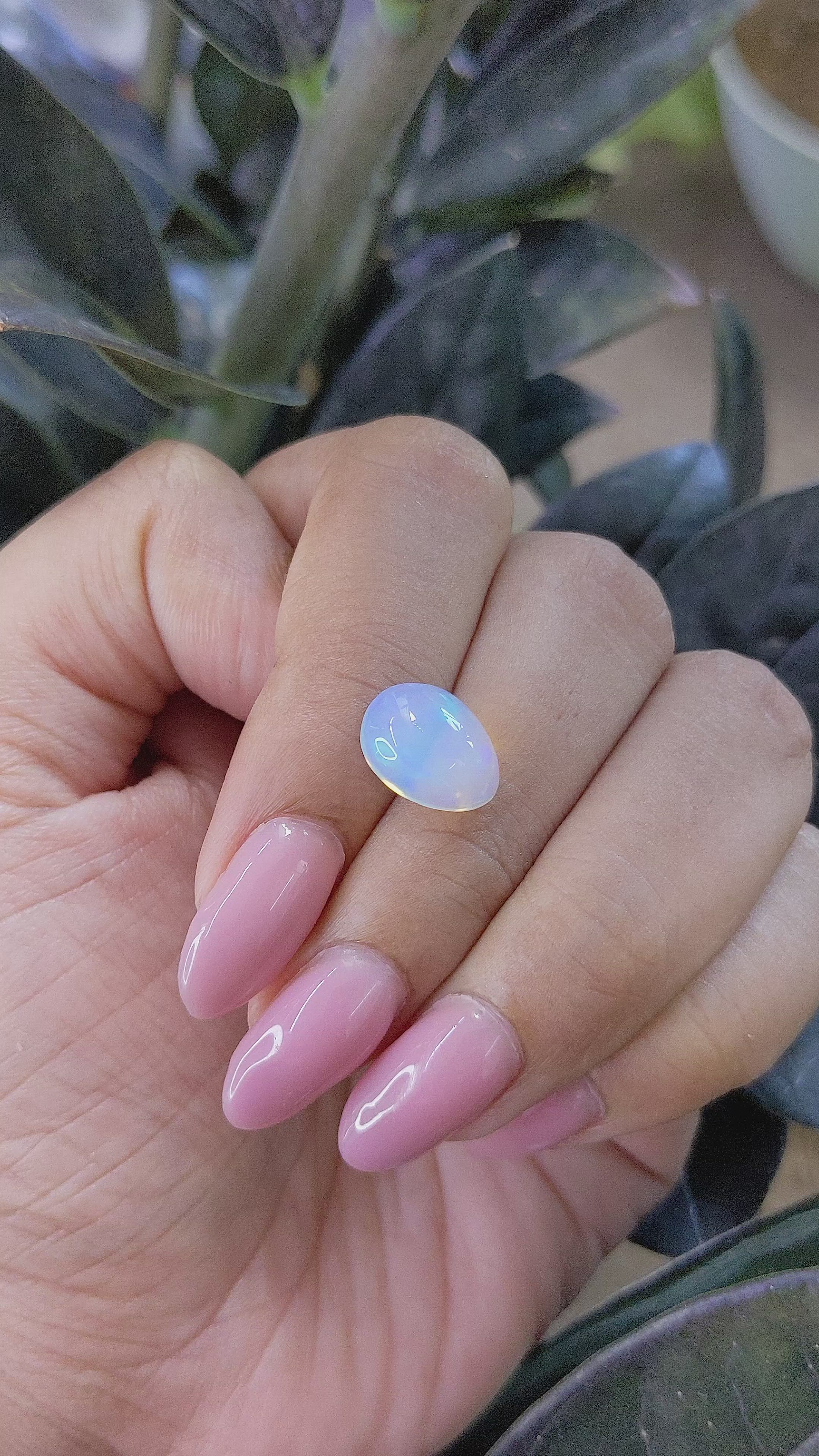 2.70 Ct. Multi Color Cabochon White Opal (Light Opal) from Ethiopia Size Video