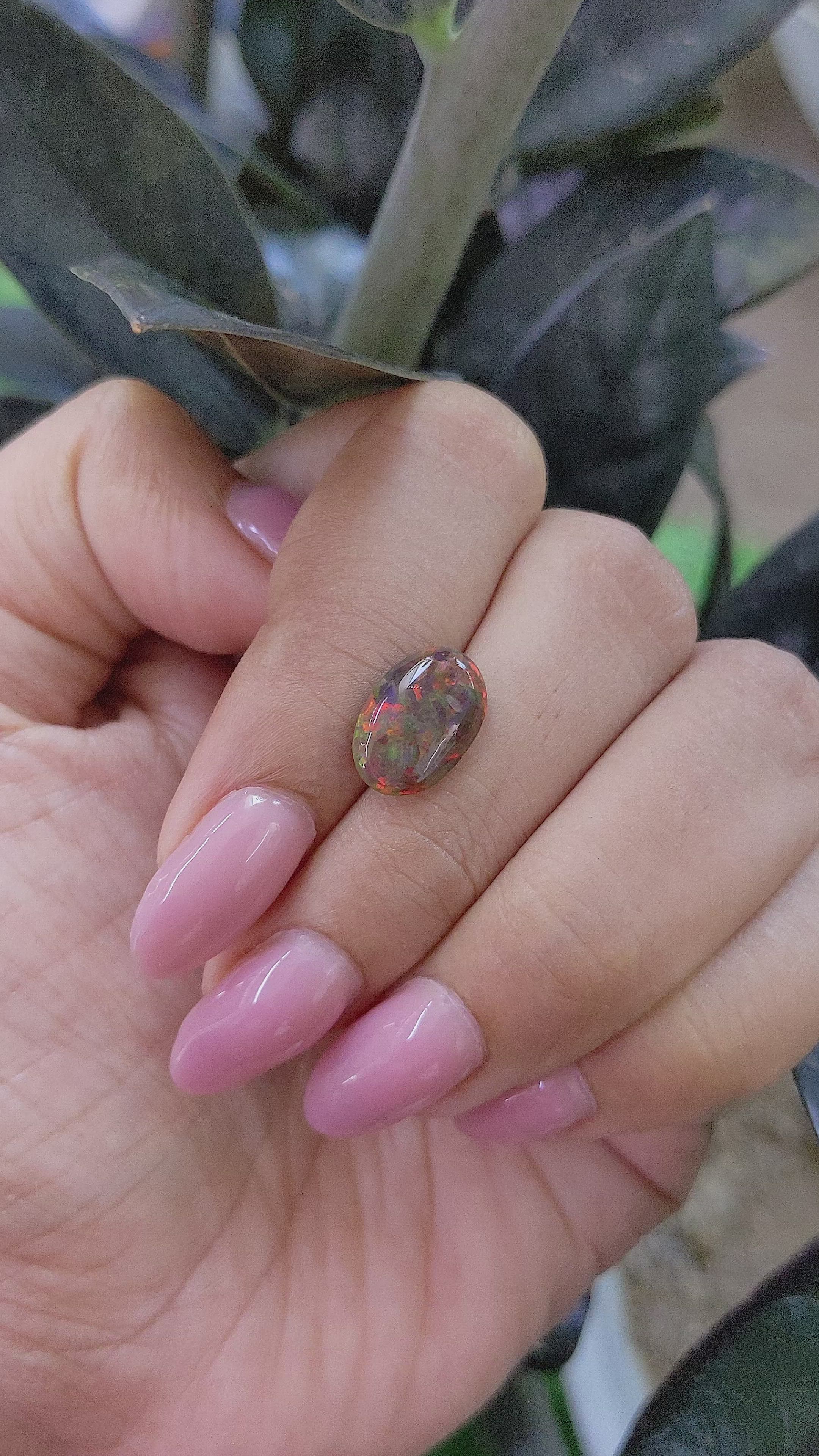 1.67 Ct. Multi Color Cabochon Black Opal (Dark Opal) from Ethiopia Size Video