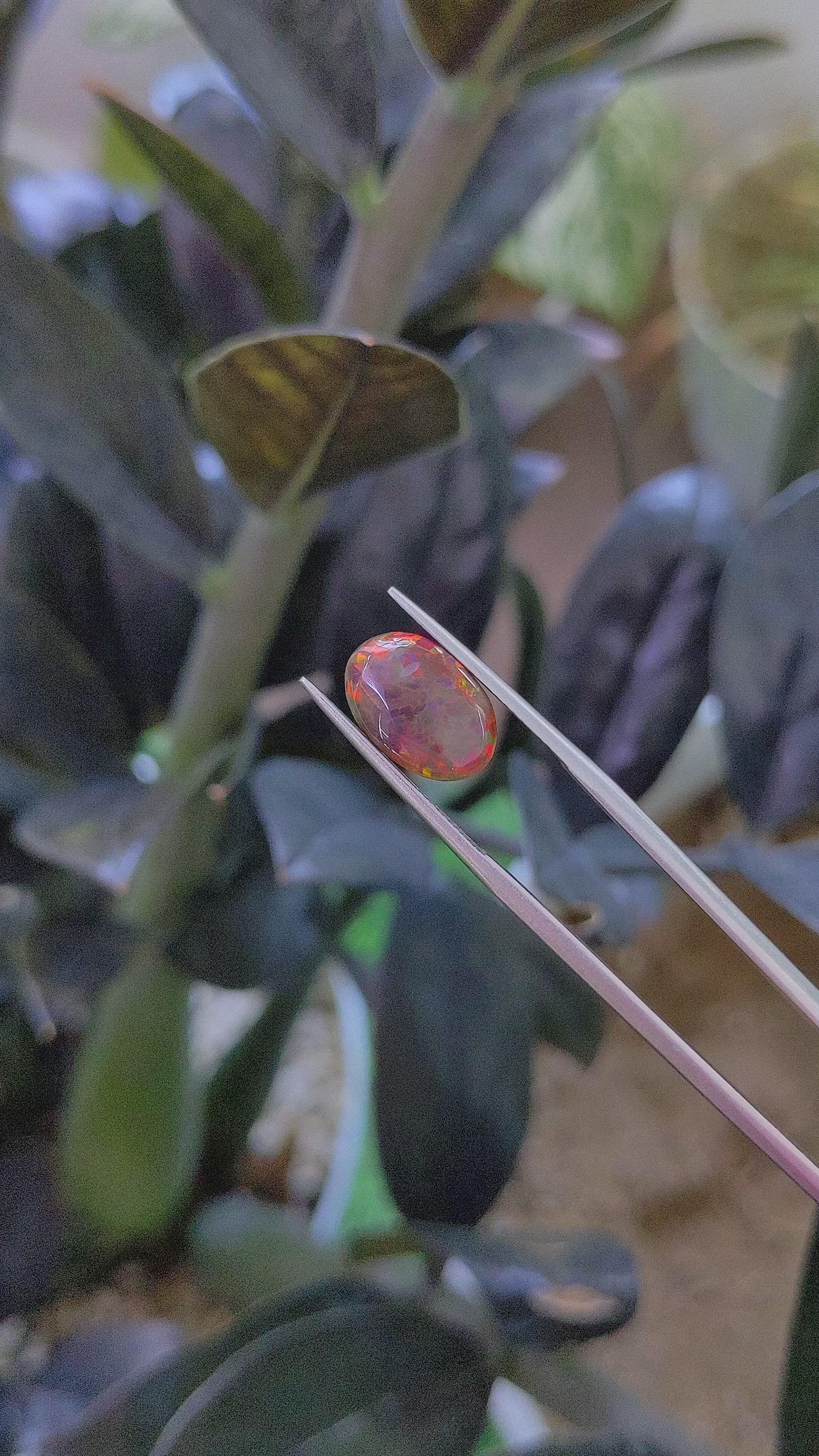 1.67 Ct. Multi Color Cabochon Black Opal (Dark Opal) from Ethiopia Size Video