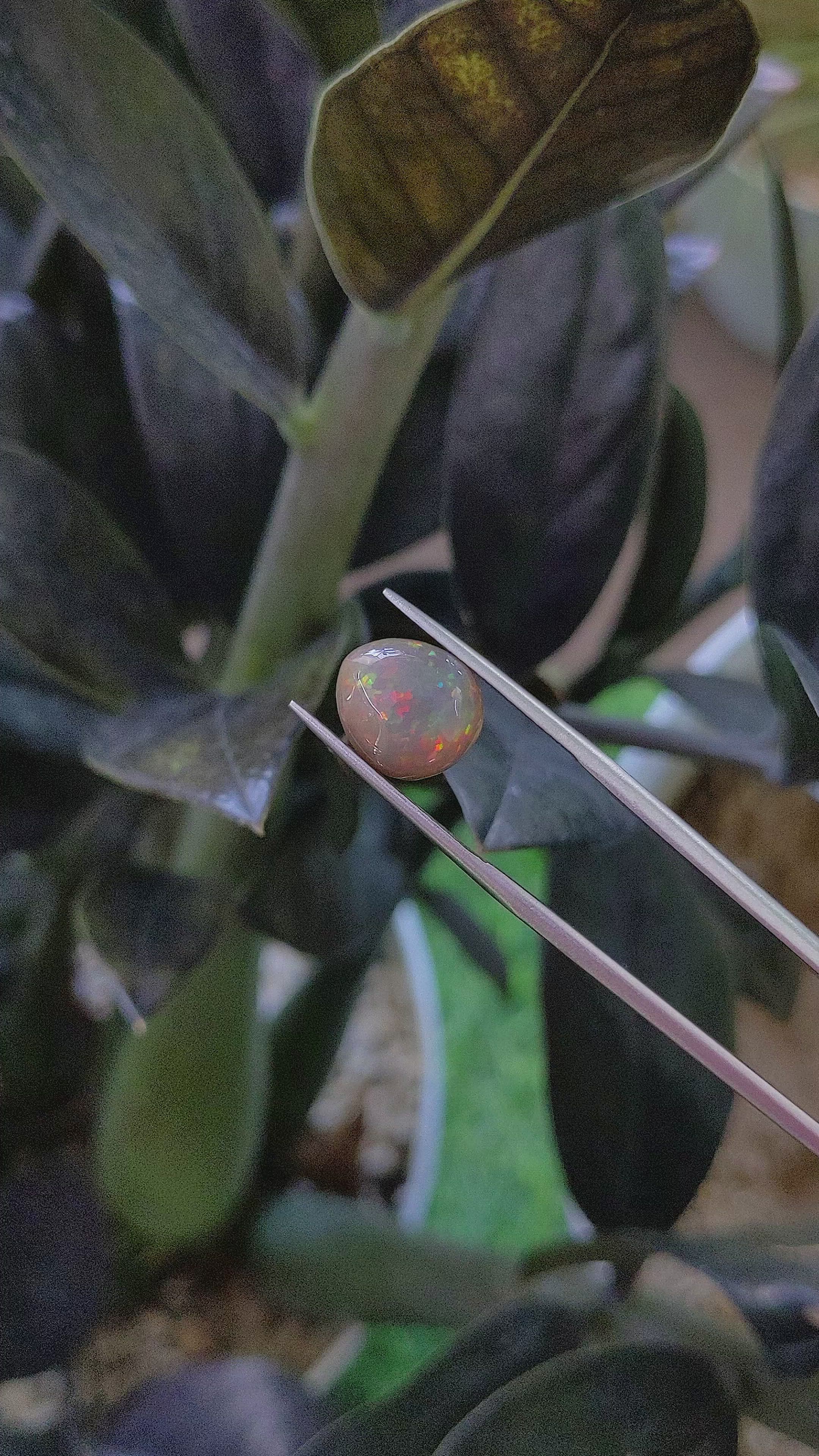 2.77 Ct. Multi Color Cabochon White Opal (Light Opal) from Ethiopia Size Video