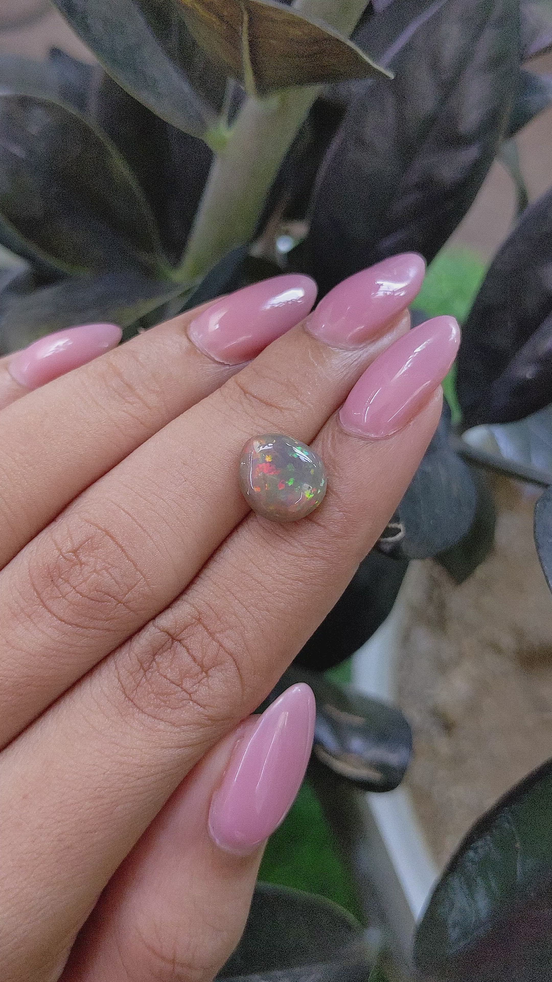 2.77 Ct. Multi Color Cabochon White Opal (Light Opal) from Ethiopia Size Video