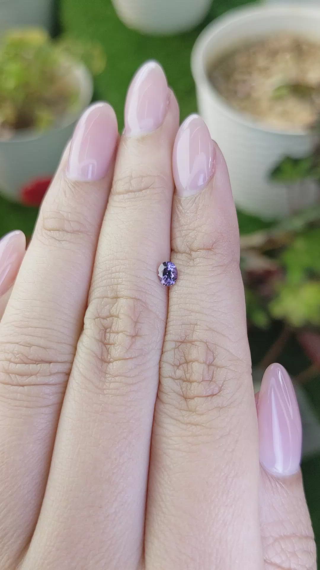 0.27 Ct. Purple Spinel from Ceylon (Sri Lanka) Size Video