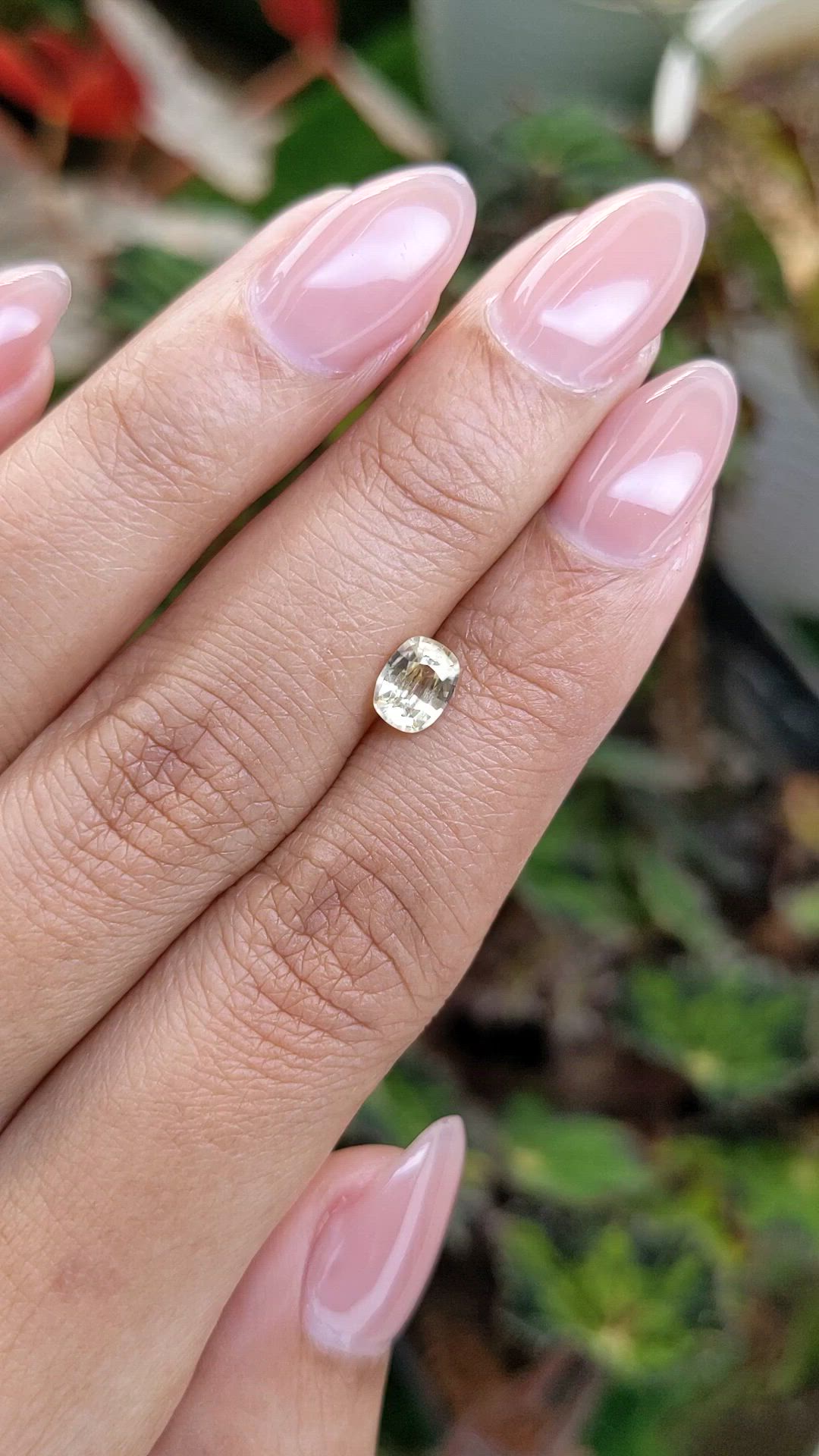 1.02 Ct. Yellow Zircon from Ceylon (Sri Lanka) Size Video