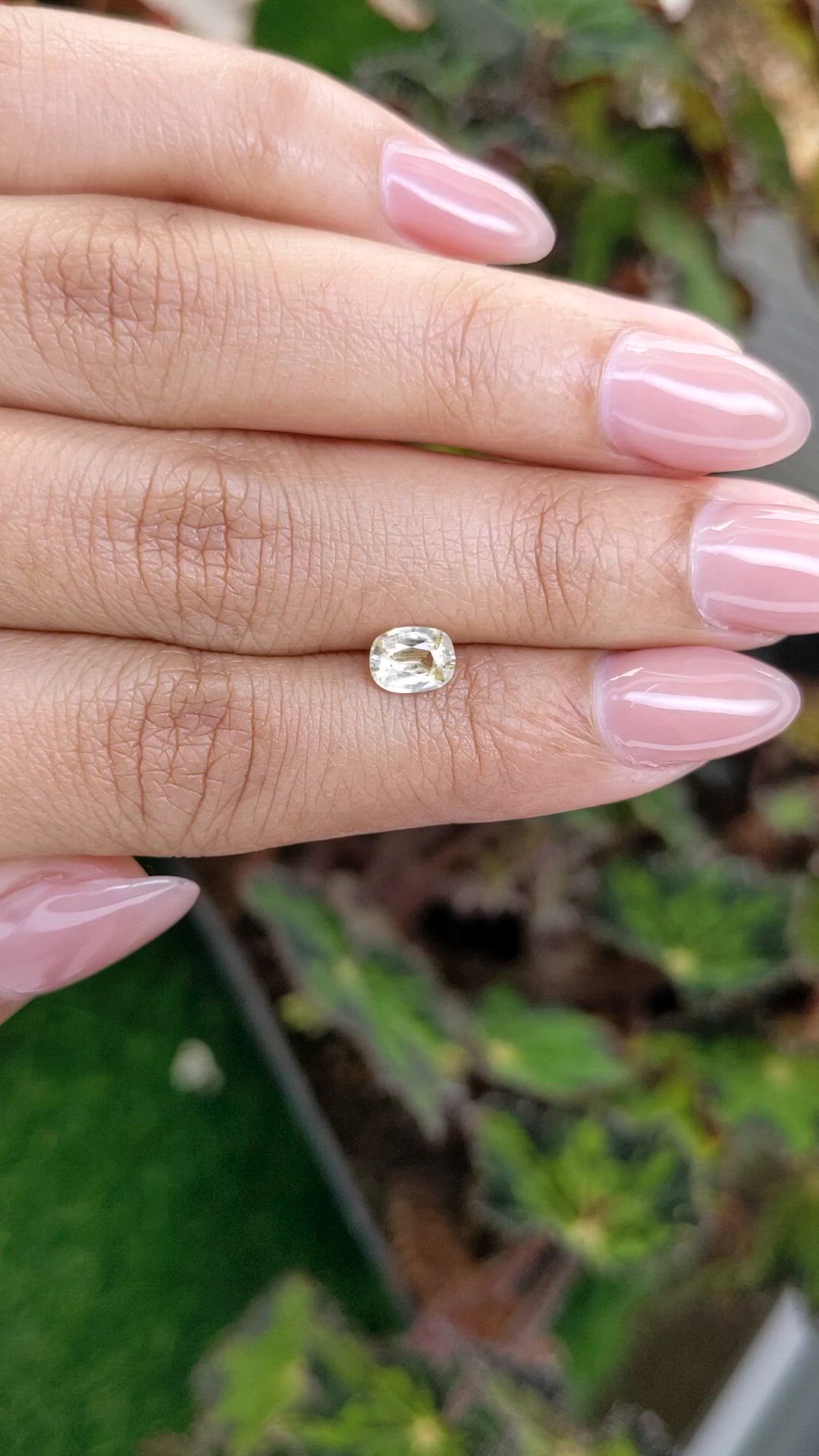 1.02 Ct. Yellow Zircon from Ceylon (Sri Lanka) Size Video