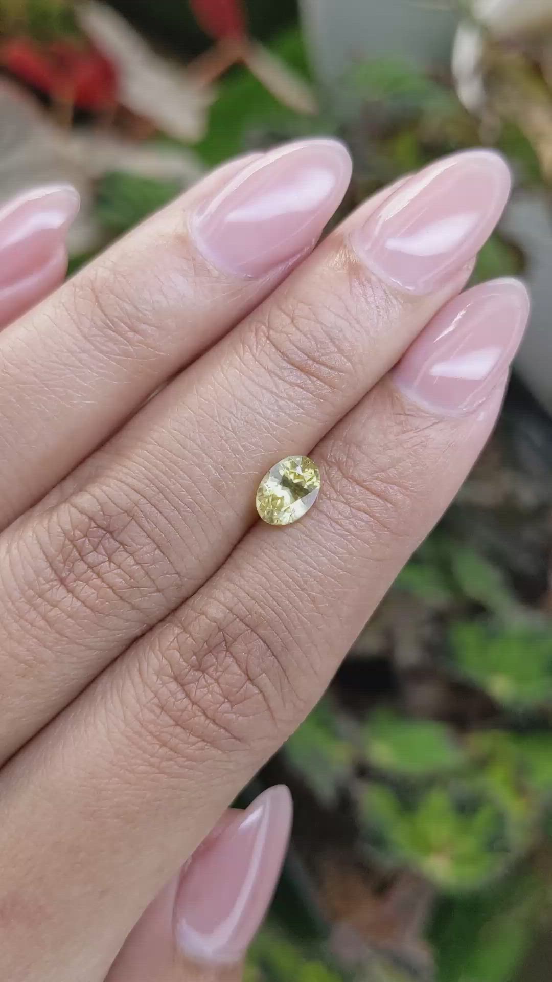 1.53 Ct. Yellow Zircon from Ceylon (Sri Lanka) Size Video