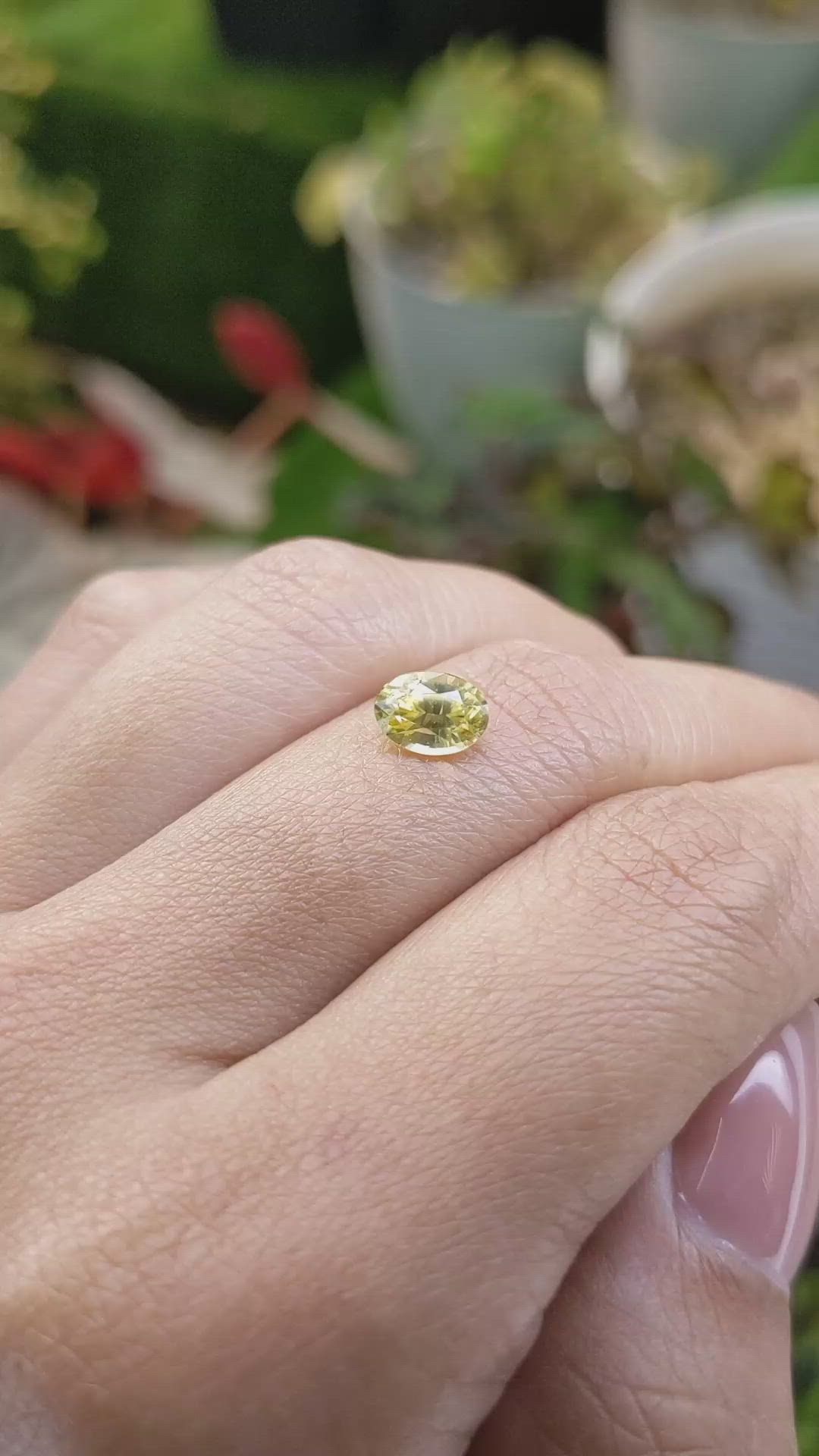 1.53 Ct. Yellow Zircon from Ceylon (Sri Lanka) Size Video