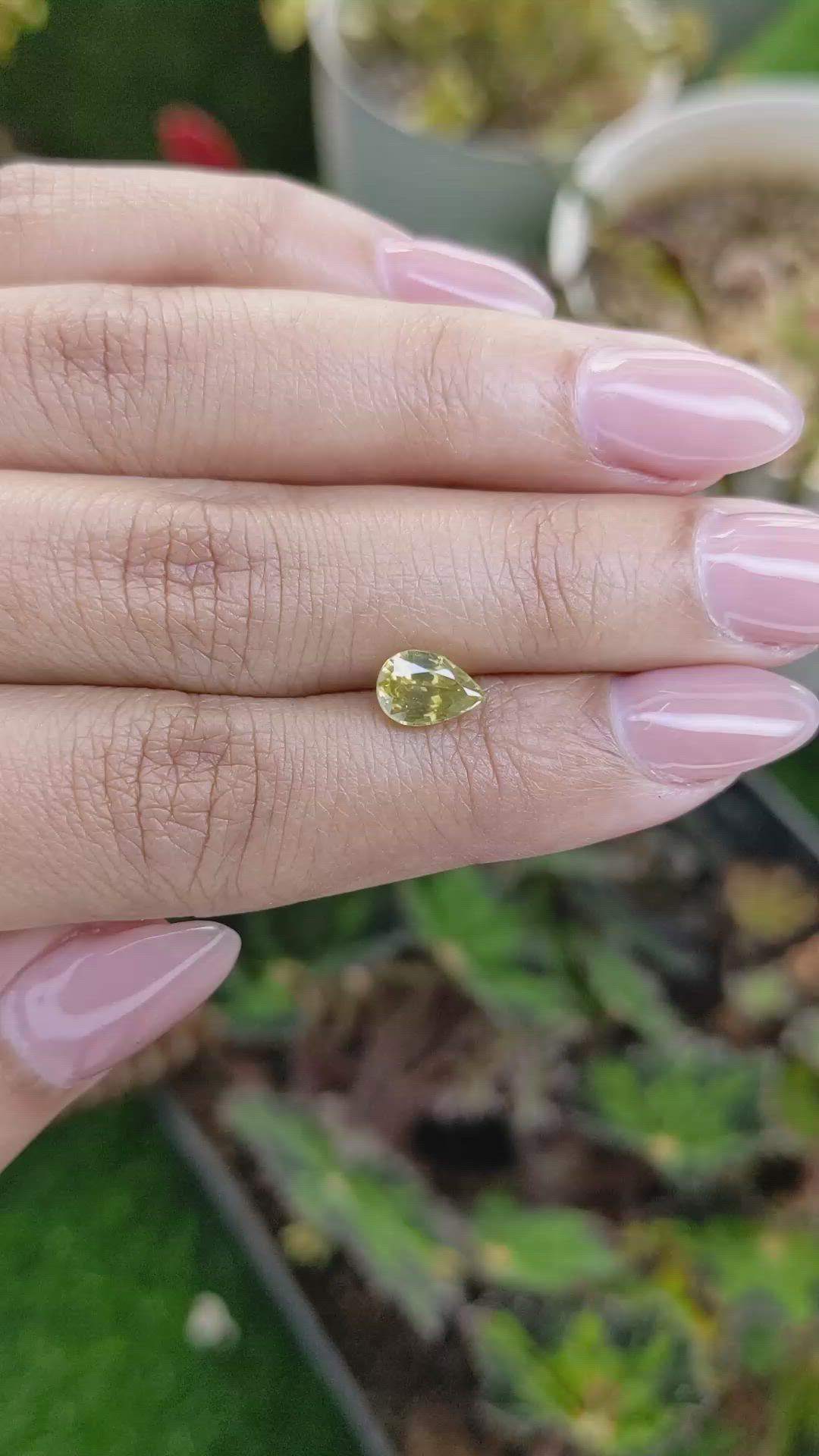 1.62 Ct. Yellow Zircon from Ceylon (Sri Lanka) Size Video
