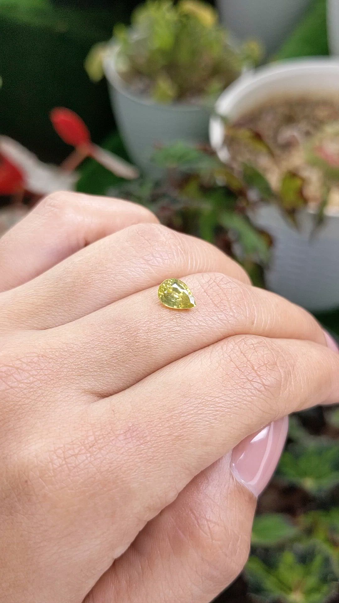 1.62 Ct. Yellow Zircon from Ceylon (Sri Lanka) Size Video