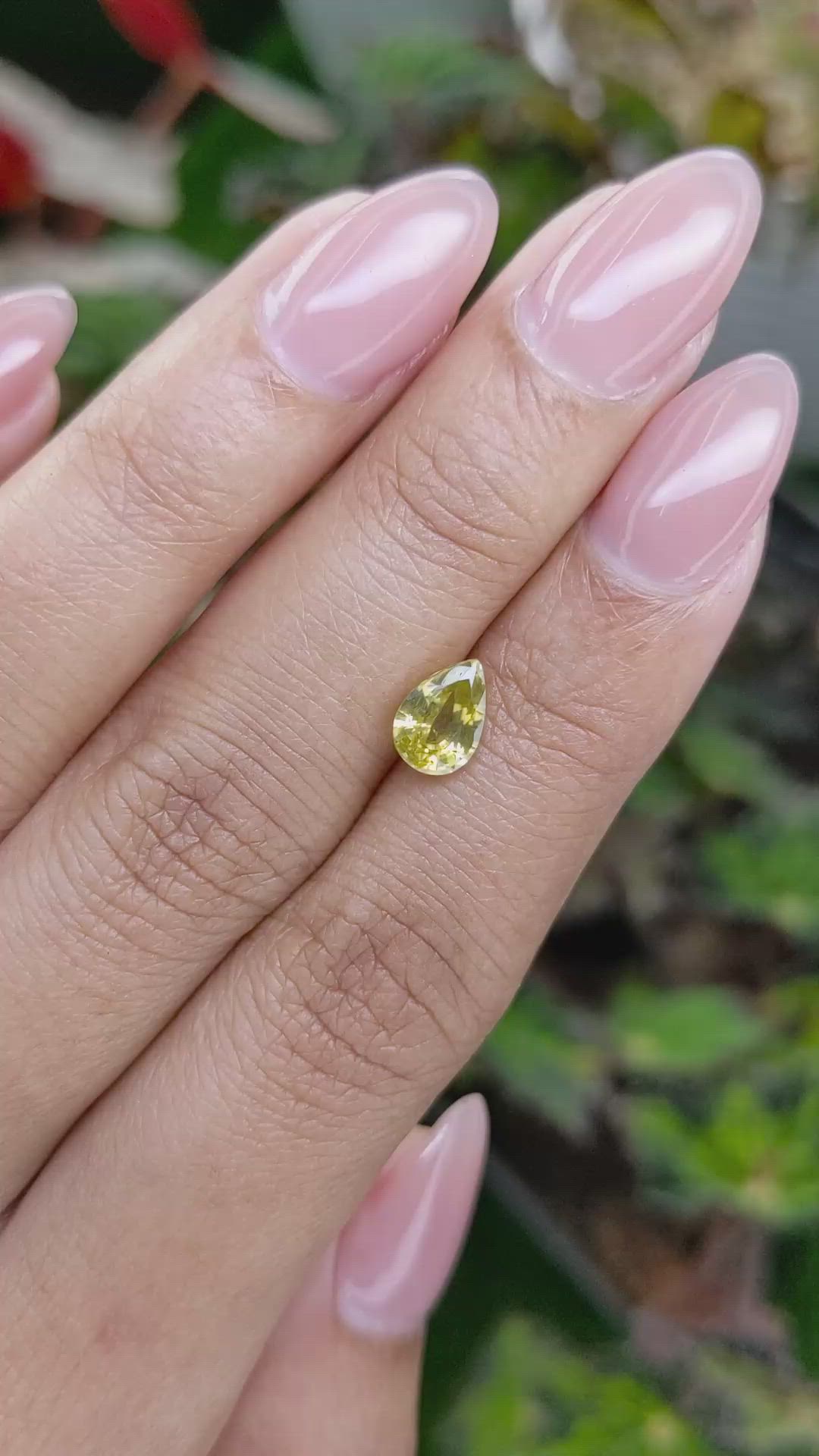 1.62 Ct. Yellow Zircon from Ceylon (Sri Lanka) Size Video