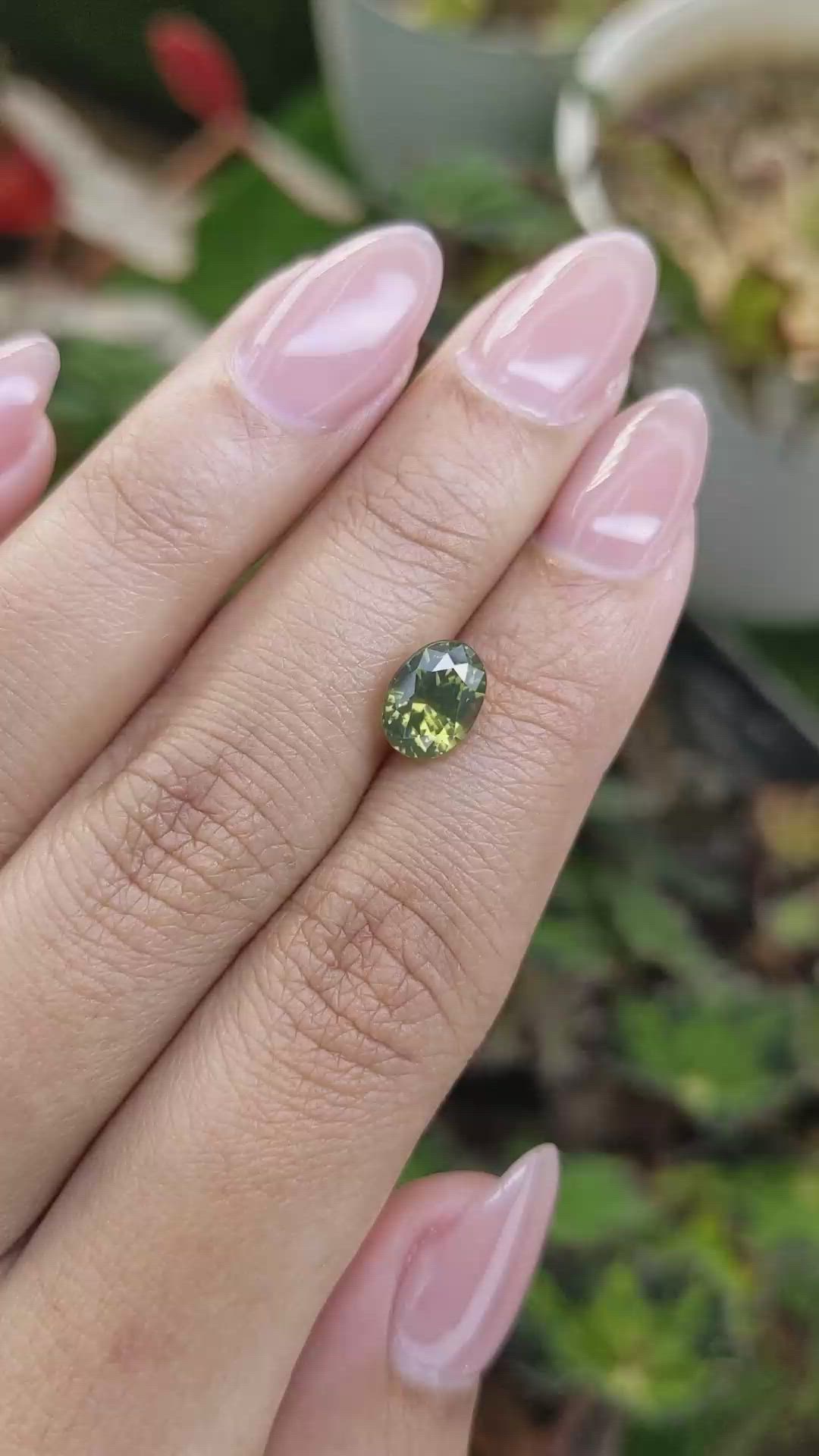 2.78 Ct. Yellowish Green Zircon from Ceylon (Sri Lanka) Size Video