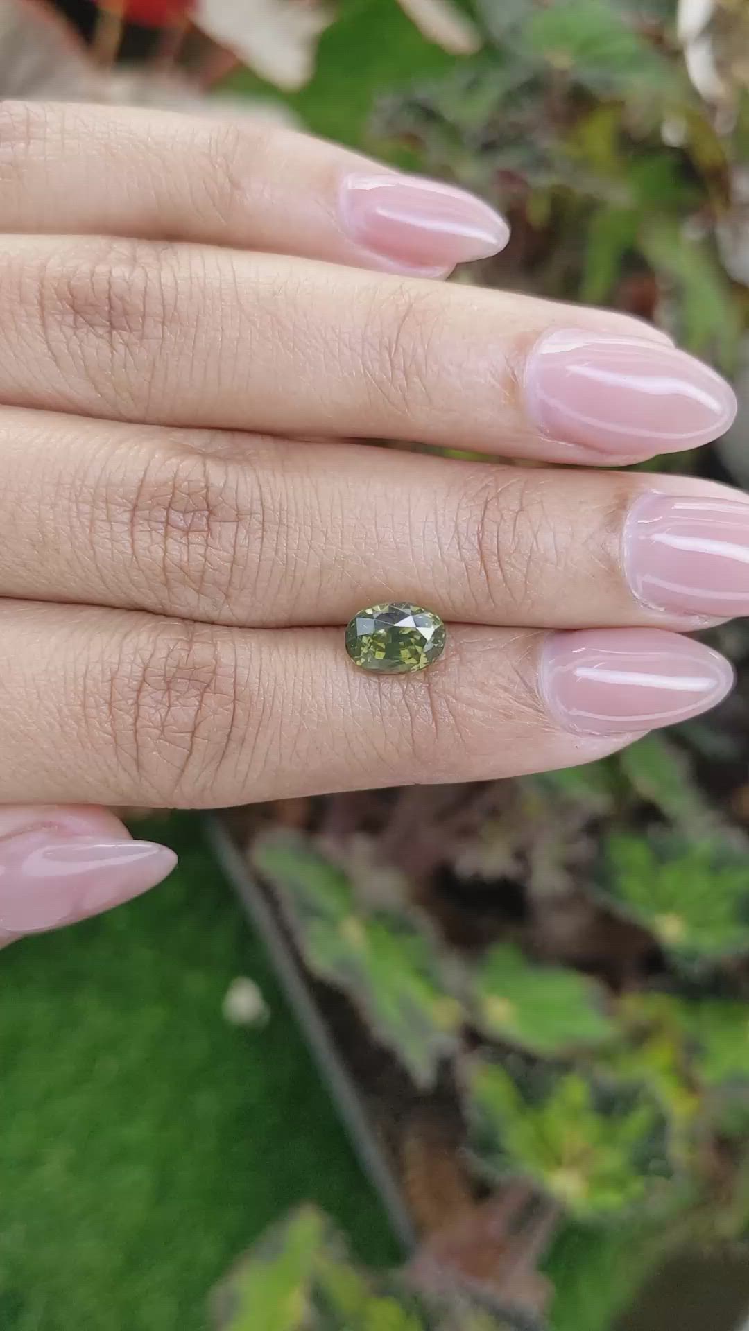 2.78 Ct. Yellowish Green Zircon from Ceylon (Sri Lanka) Size Video