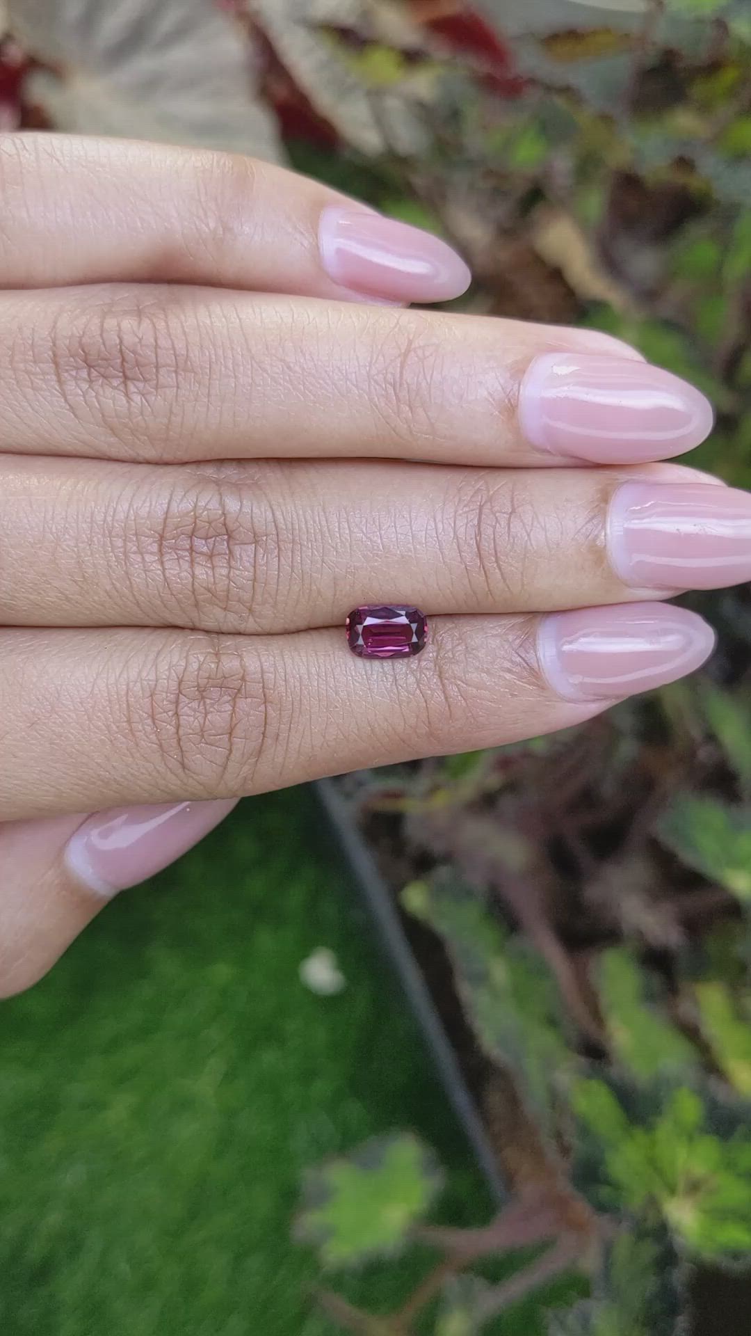 1.12 Ct. Purplish Red Rhodolite Garnet from Ceylon (Sri Lanka) Size Video