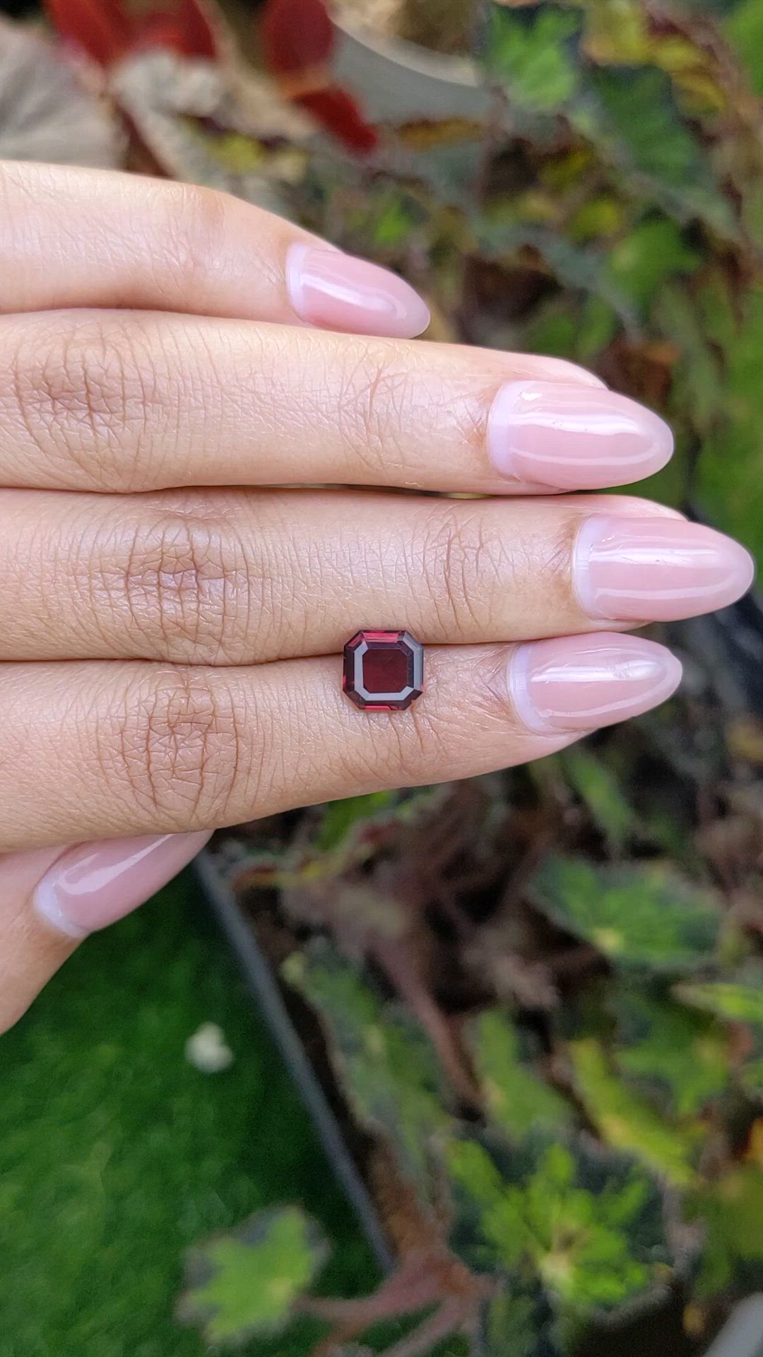1.91 Ct. Red Rhodolite Garnet from Ceylon (Sri Lanka) Size Video
