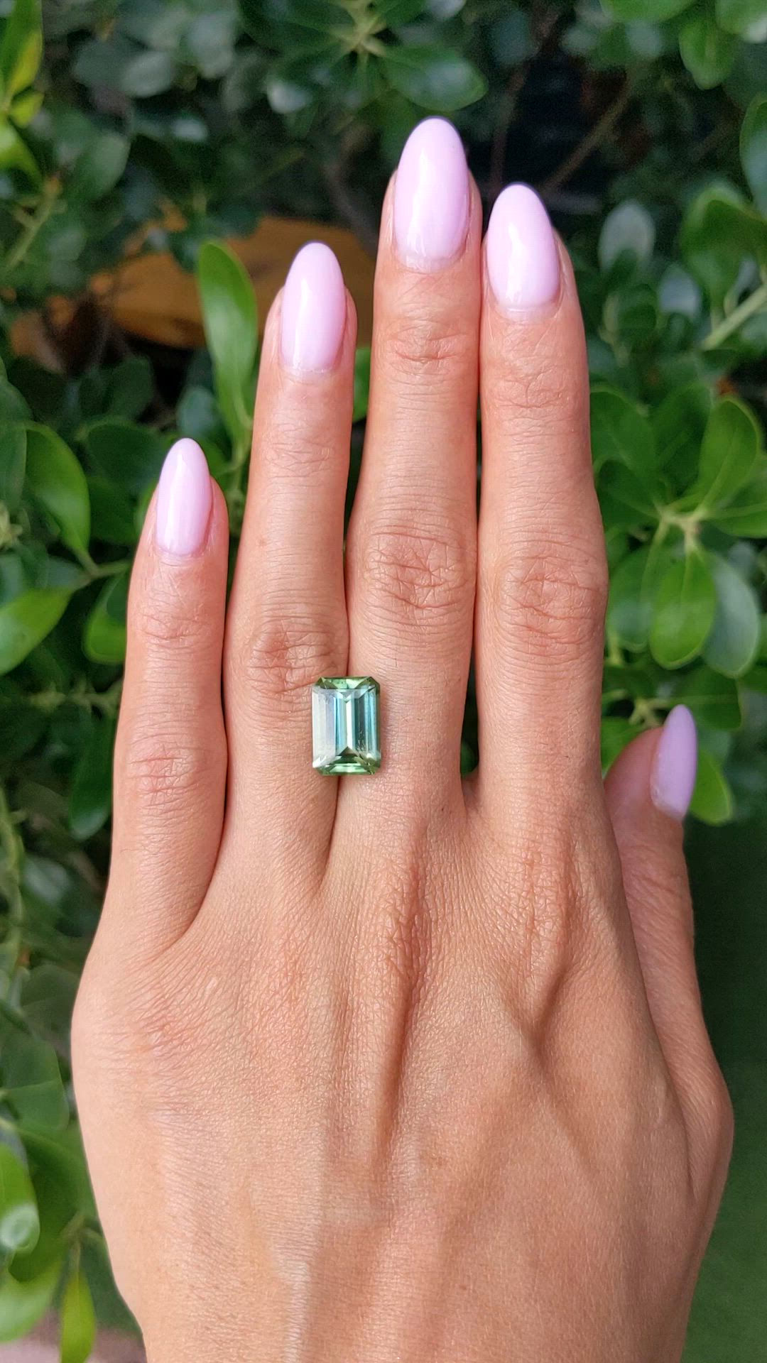 5.26 Ct. Yellowish Green Tourmaline from Ceylon (Sri Lanka) Size Video