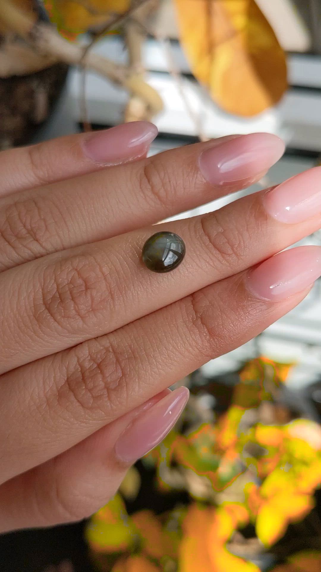 2.68 Ct. Yellowish Green Cabochon Chrysoberyl from Ceylon (Sri Lanka) Size Video