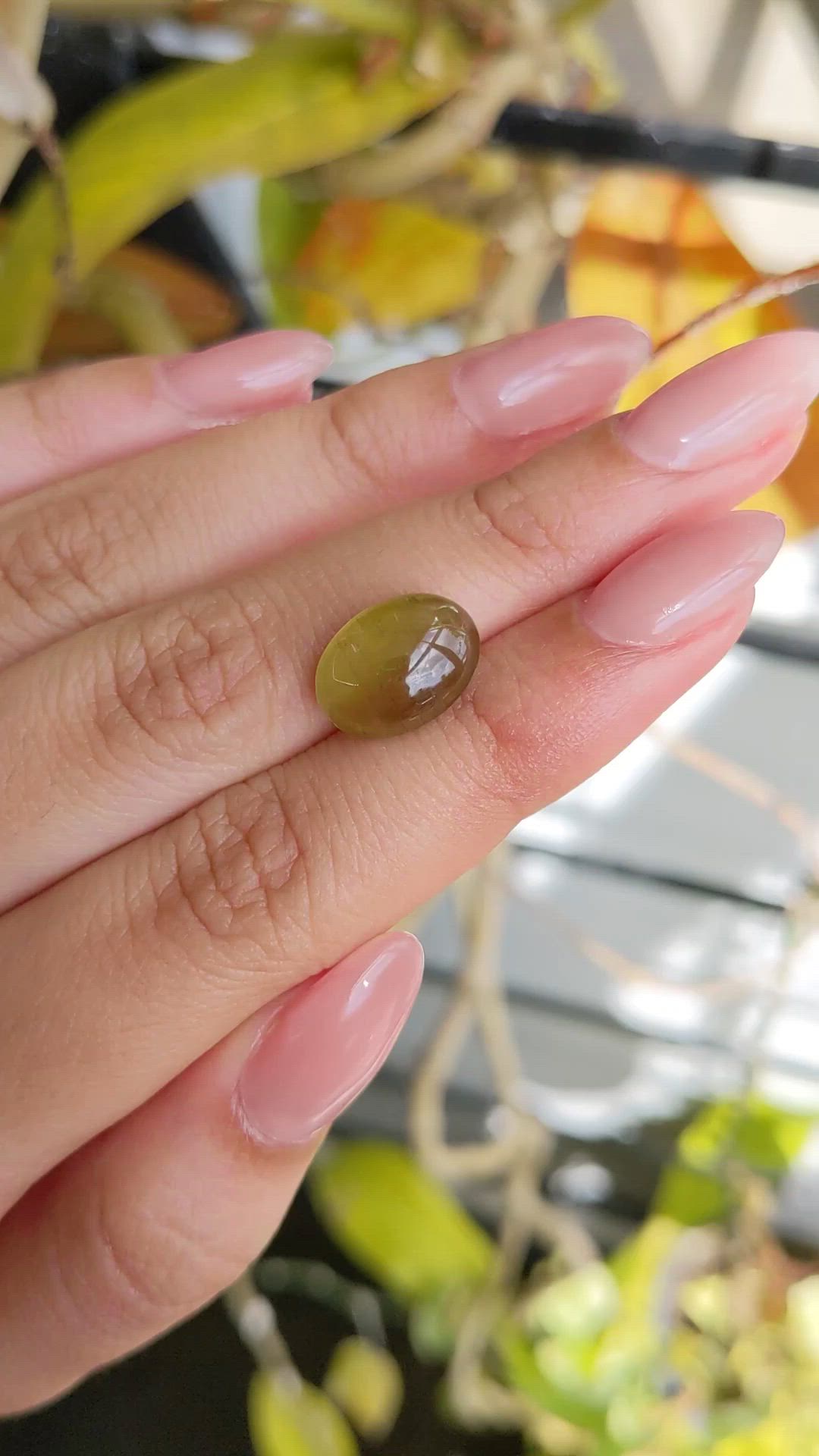 6.30 Ct. Yellow Cabochon Chrysoberyl from Ceylon (Sri Lanka) Size Video