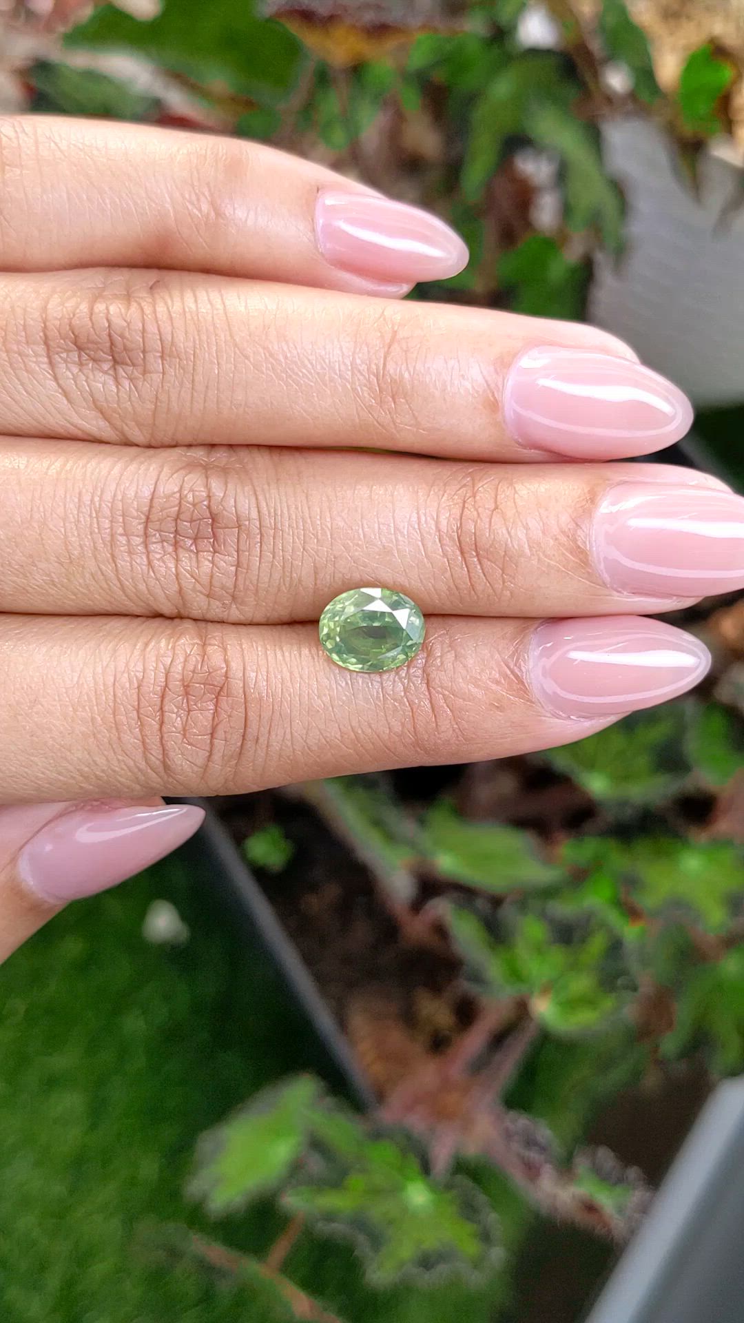 3.85 Ct. Yellowish Green Zircon from Ceylon (Sri Lanka) Size Video