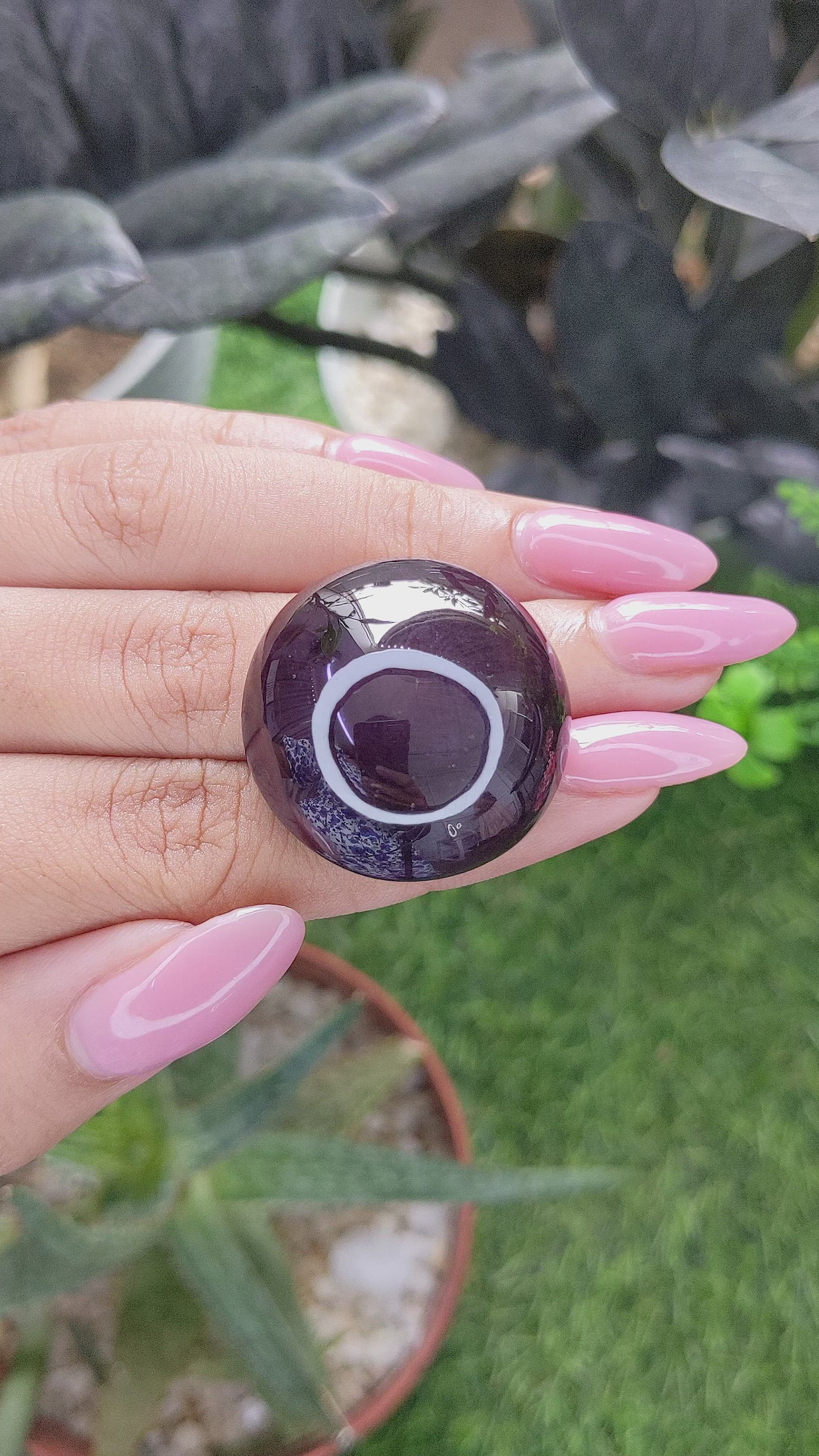 116.95 Ct. Purplish Red Star Garnet from Ceylon (Sri Lanka) Size Video