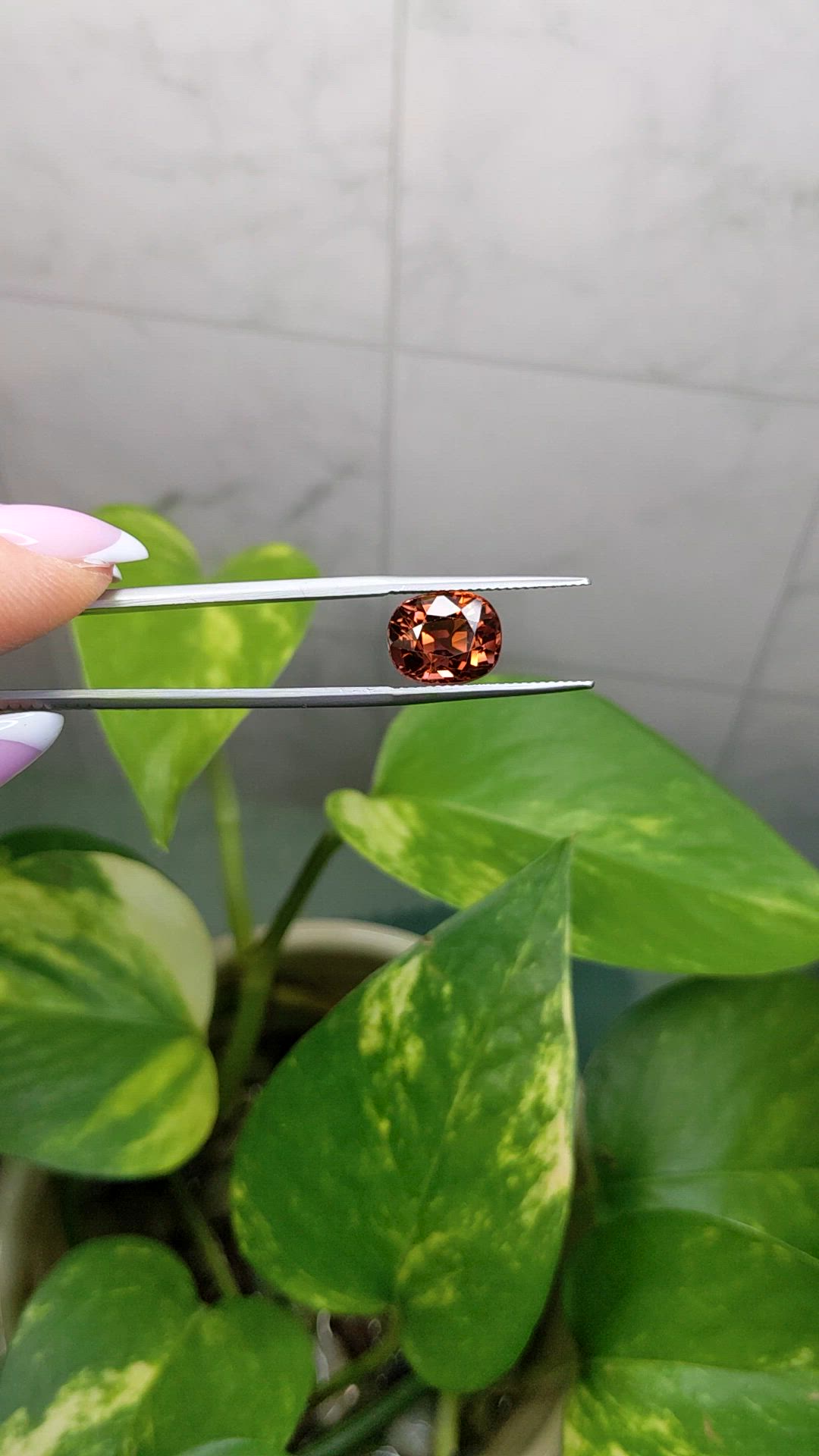 5.59 Ct. Brown Tourmaline from Africa Size Video